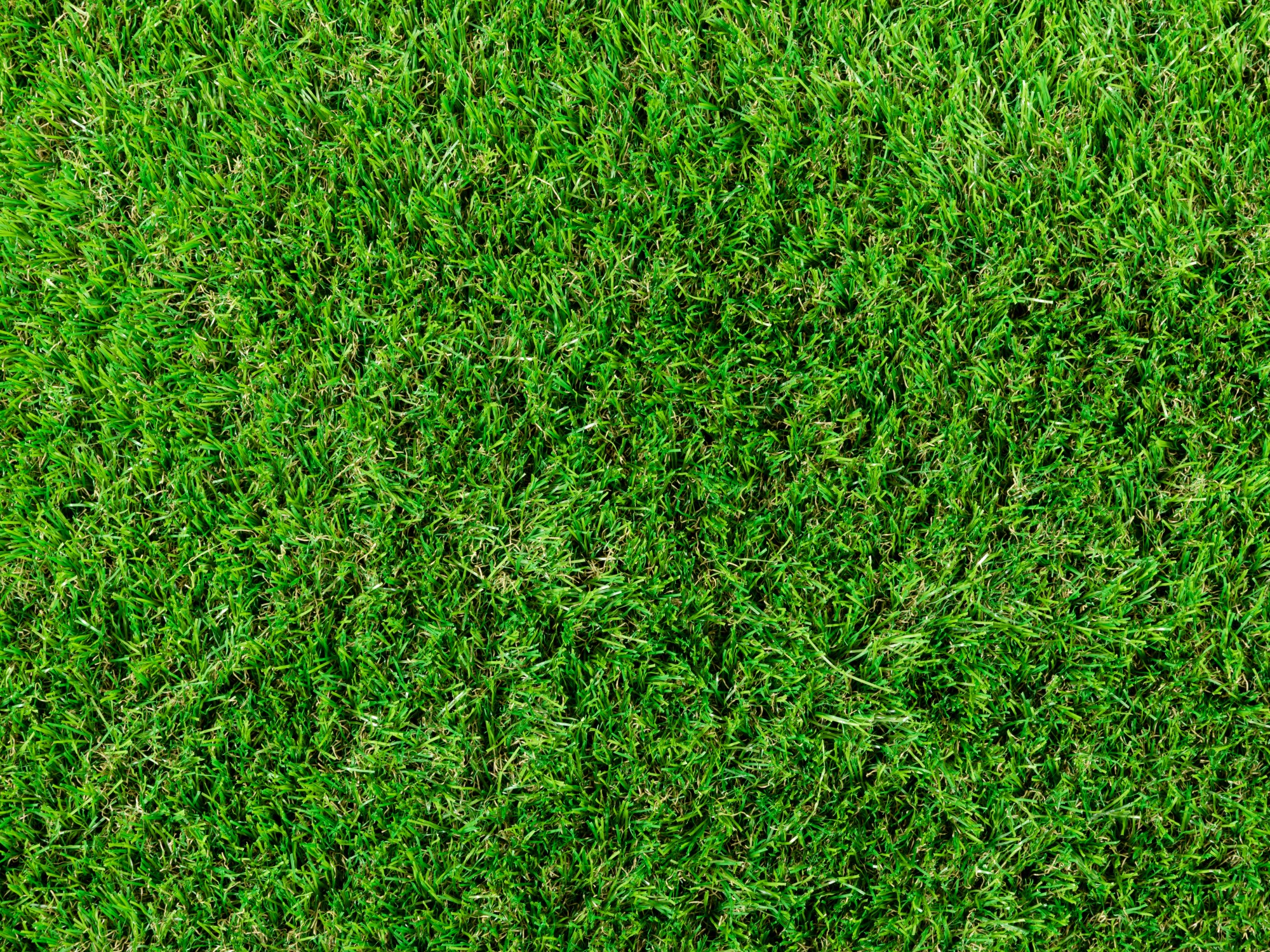 Kunstrasen Teppich Dublin