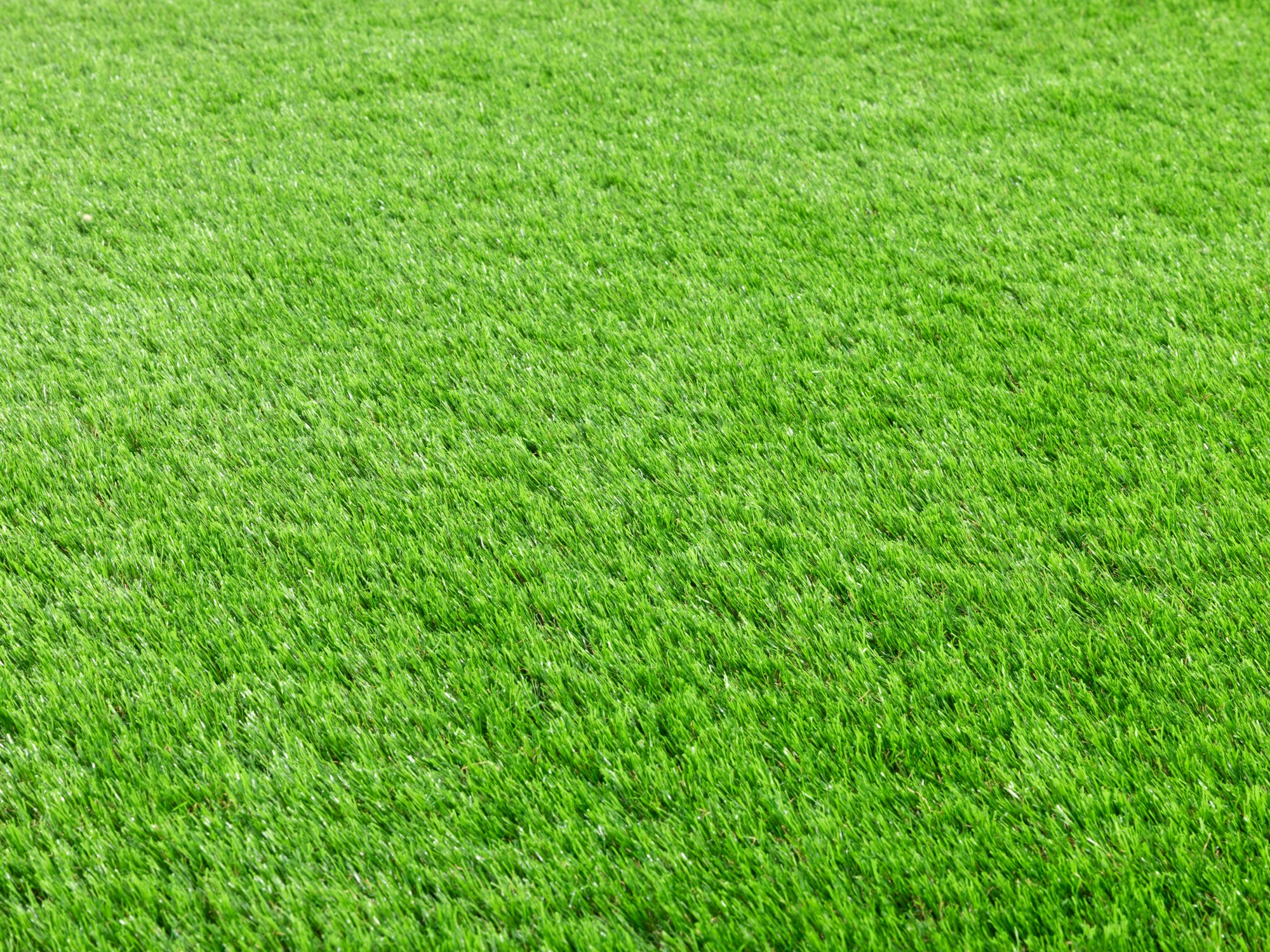 Kunstrasen Teppich Ireland