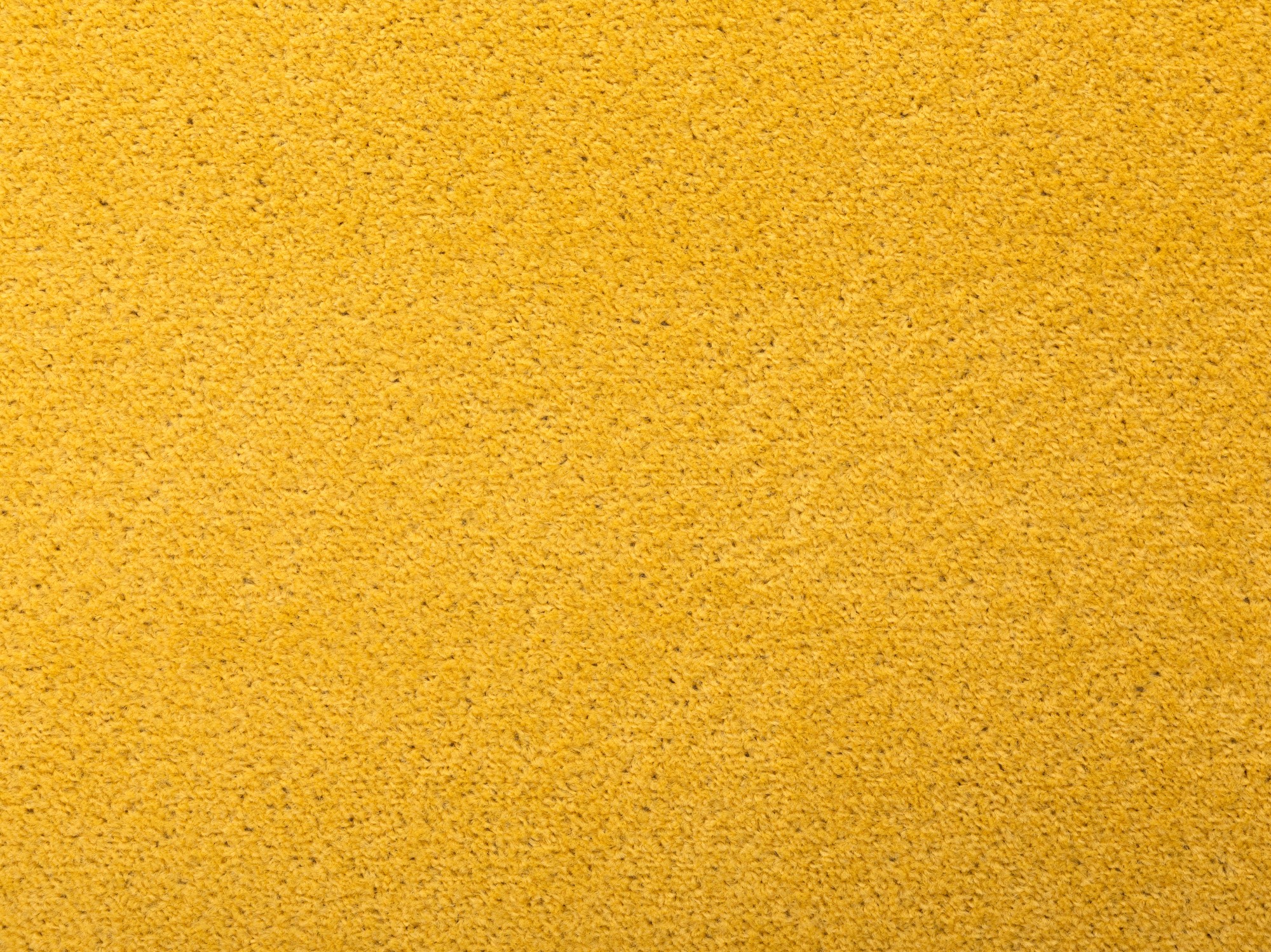 Kurzflor Teppich Cambridge Young