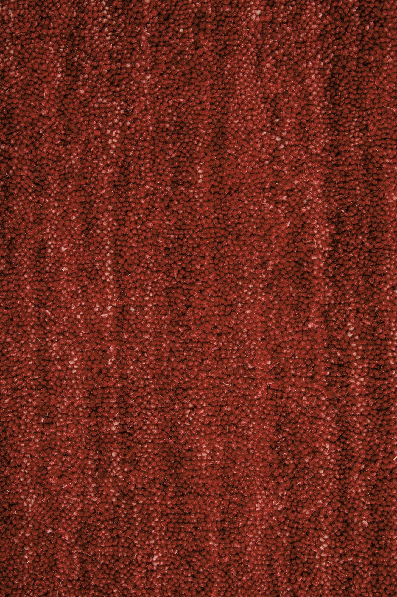 Gabbeh Teppich Nomade