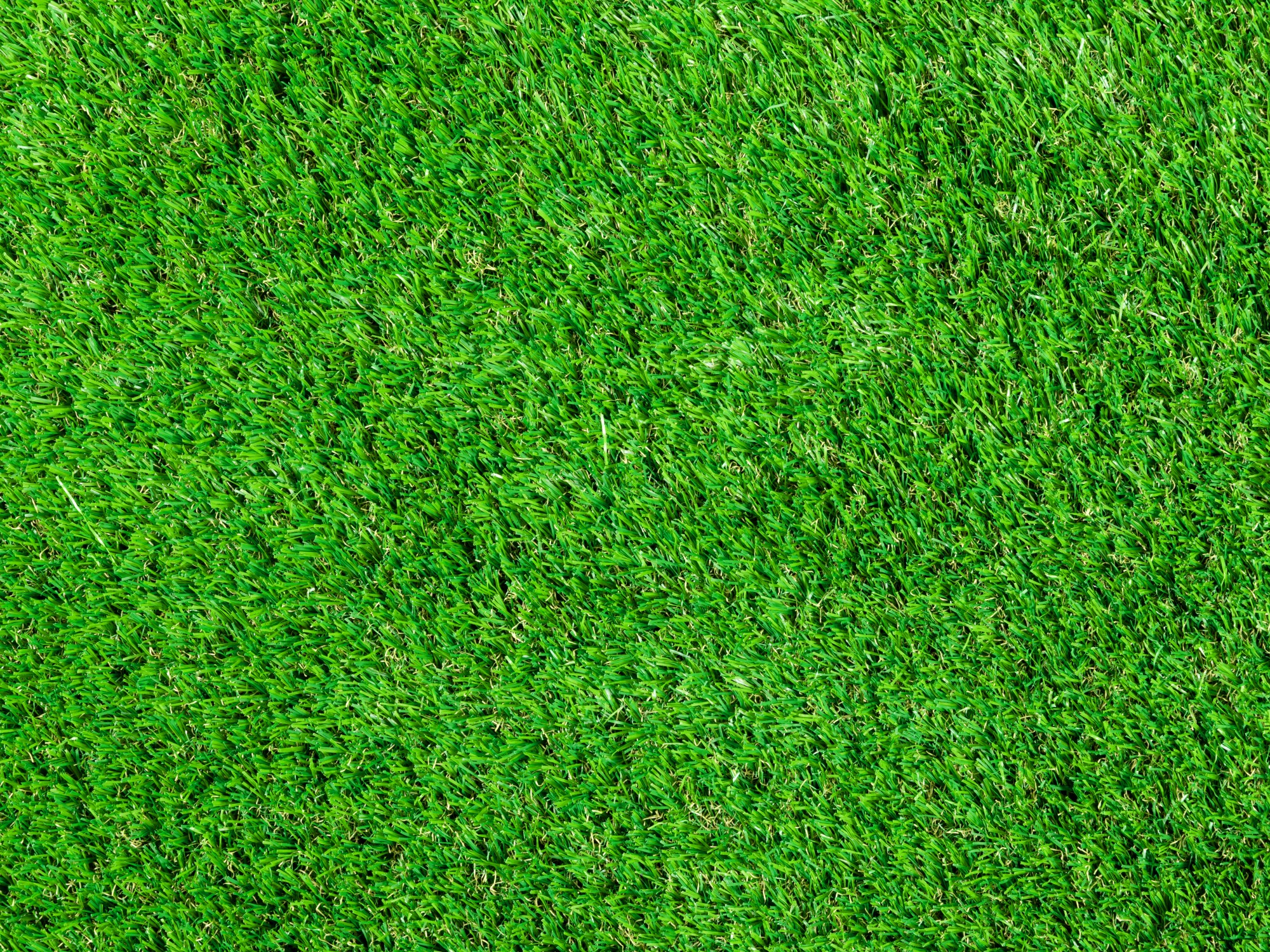 Kunstrasen Teppich Michigan