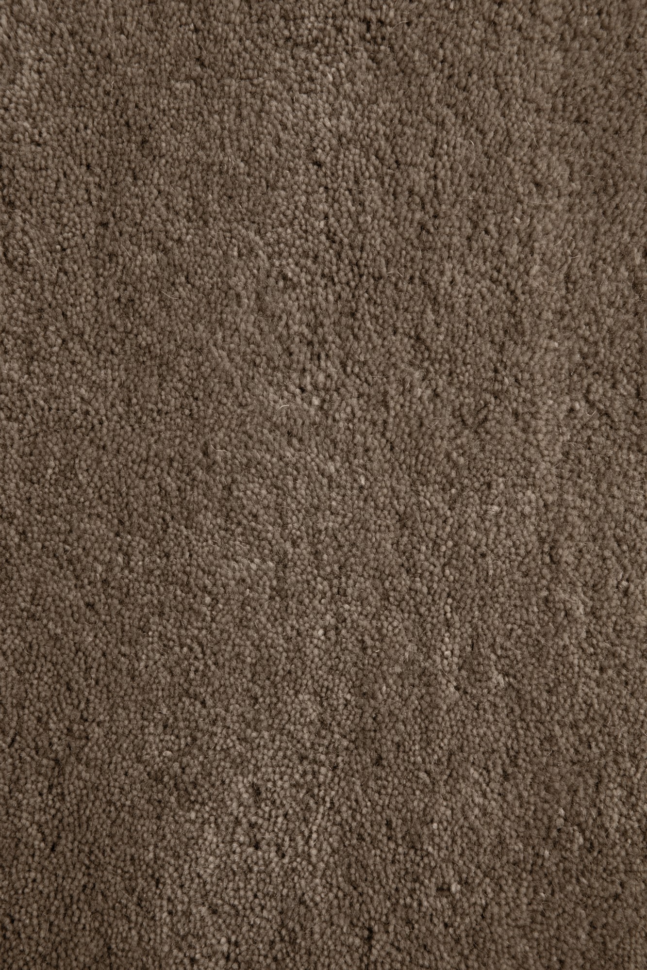 Gabbeh Teppich Sowana