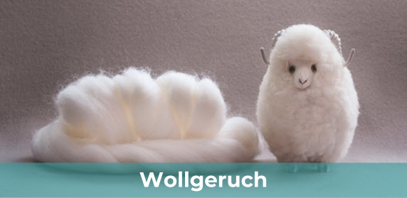 Wollgeruch