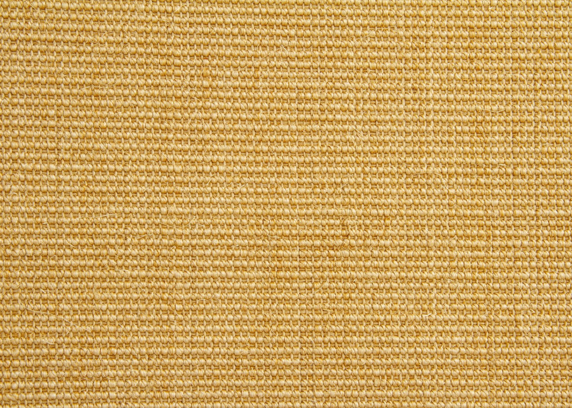 Sisal Teppich Acapulco - gekettelt
