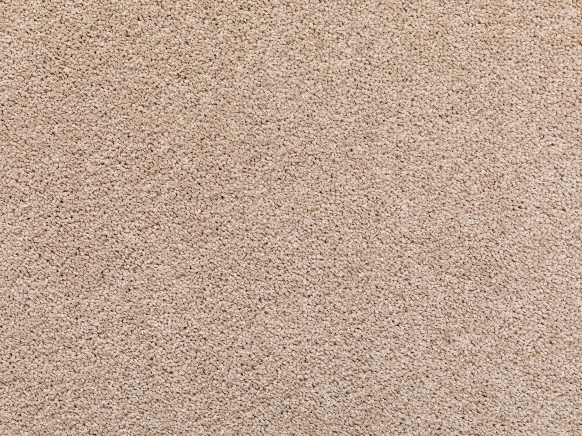 Teppichboden Capri Teppichboden Capri