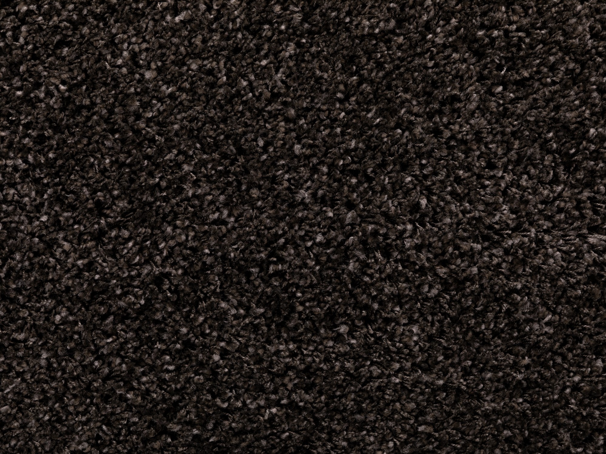 Hochflor Teppich Twilight