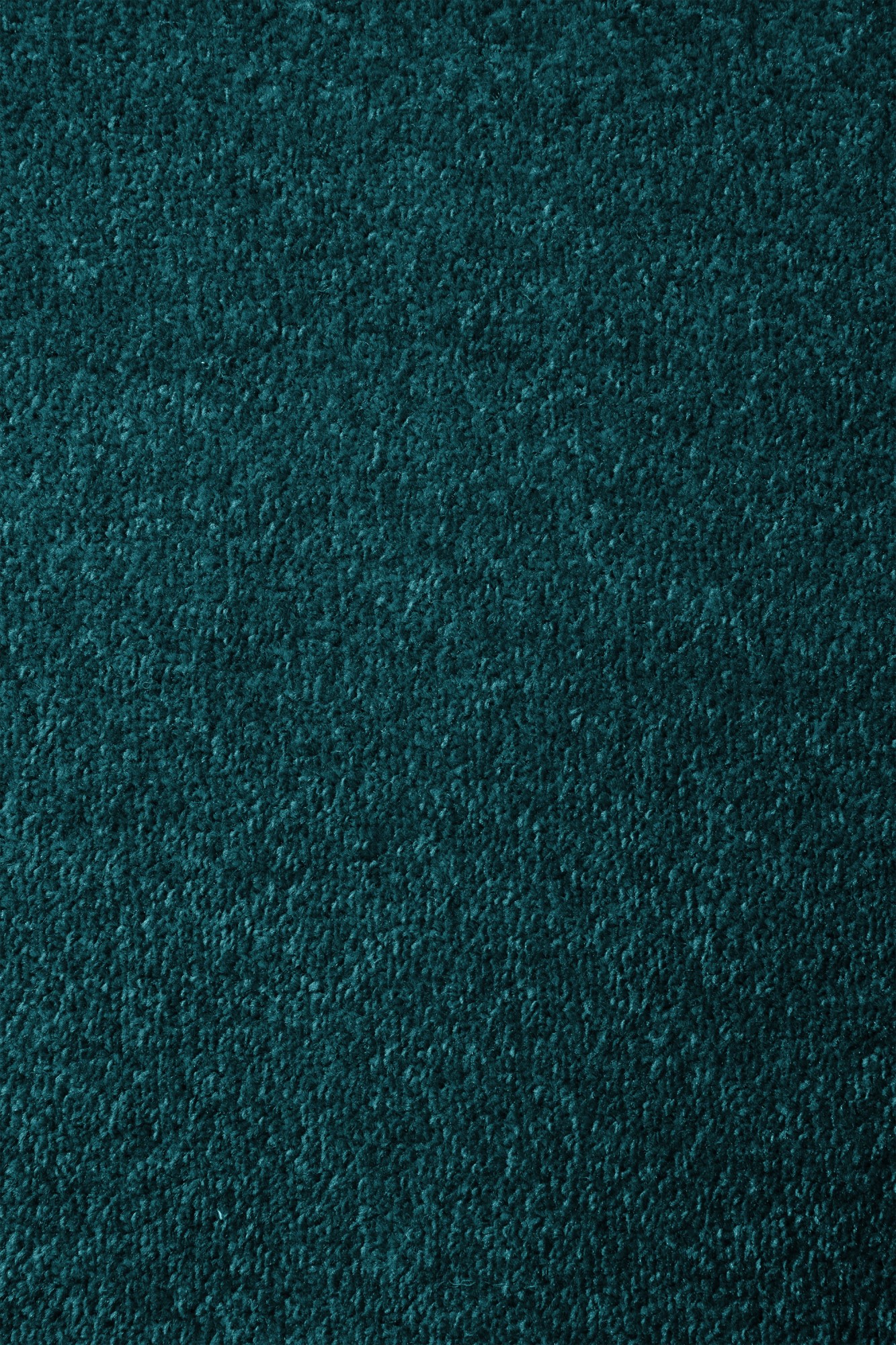 Läufer Cambridge Young