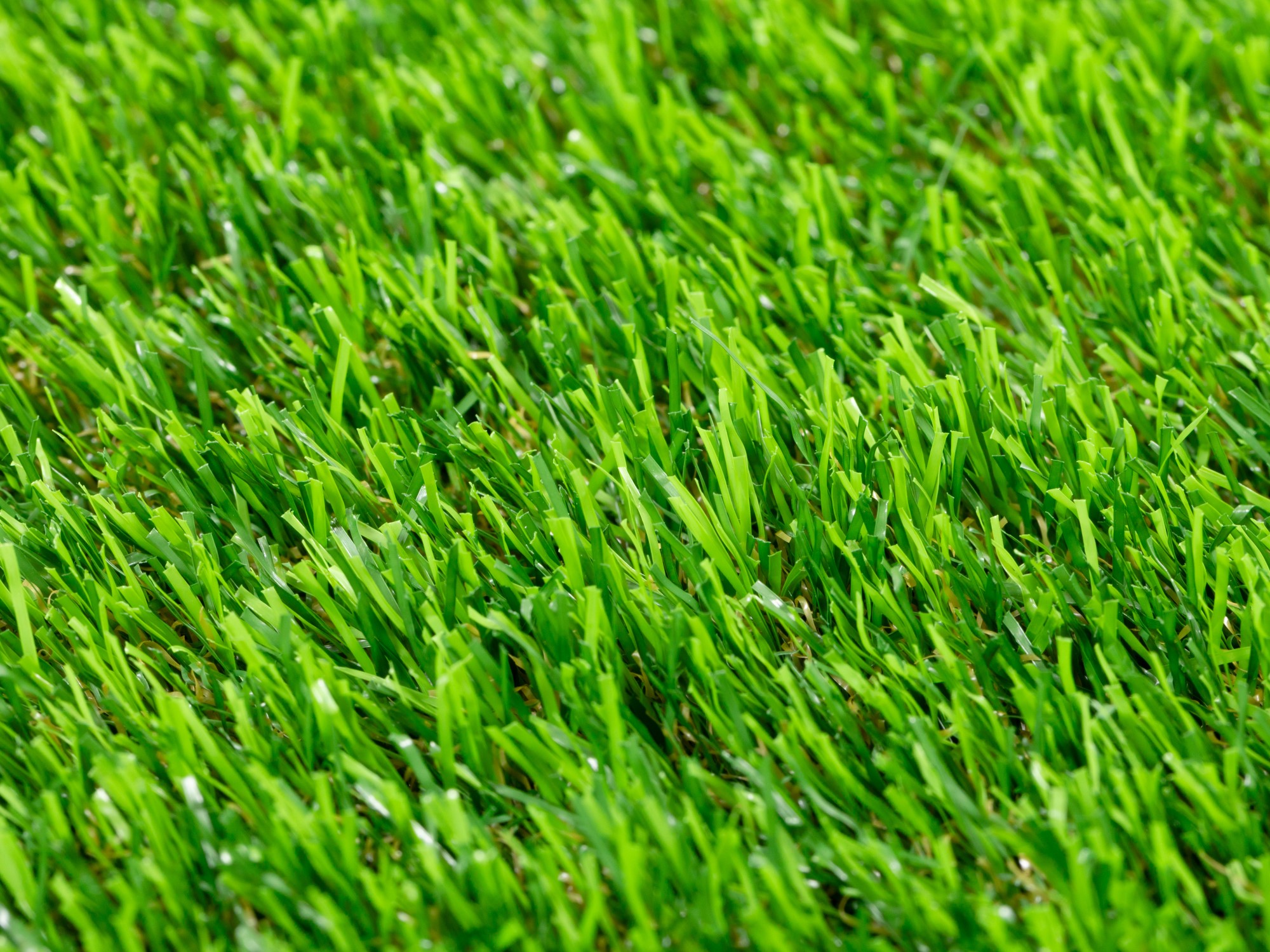 Kunstrasen Teppich Windsor