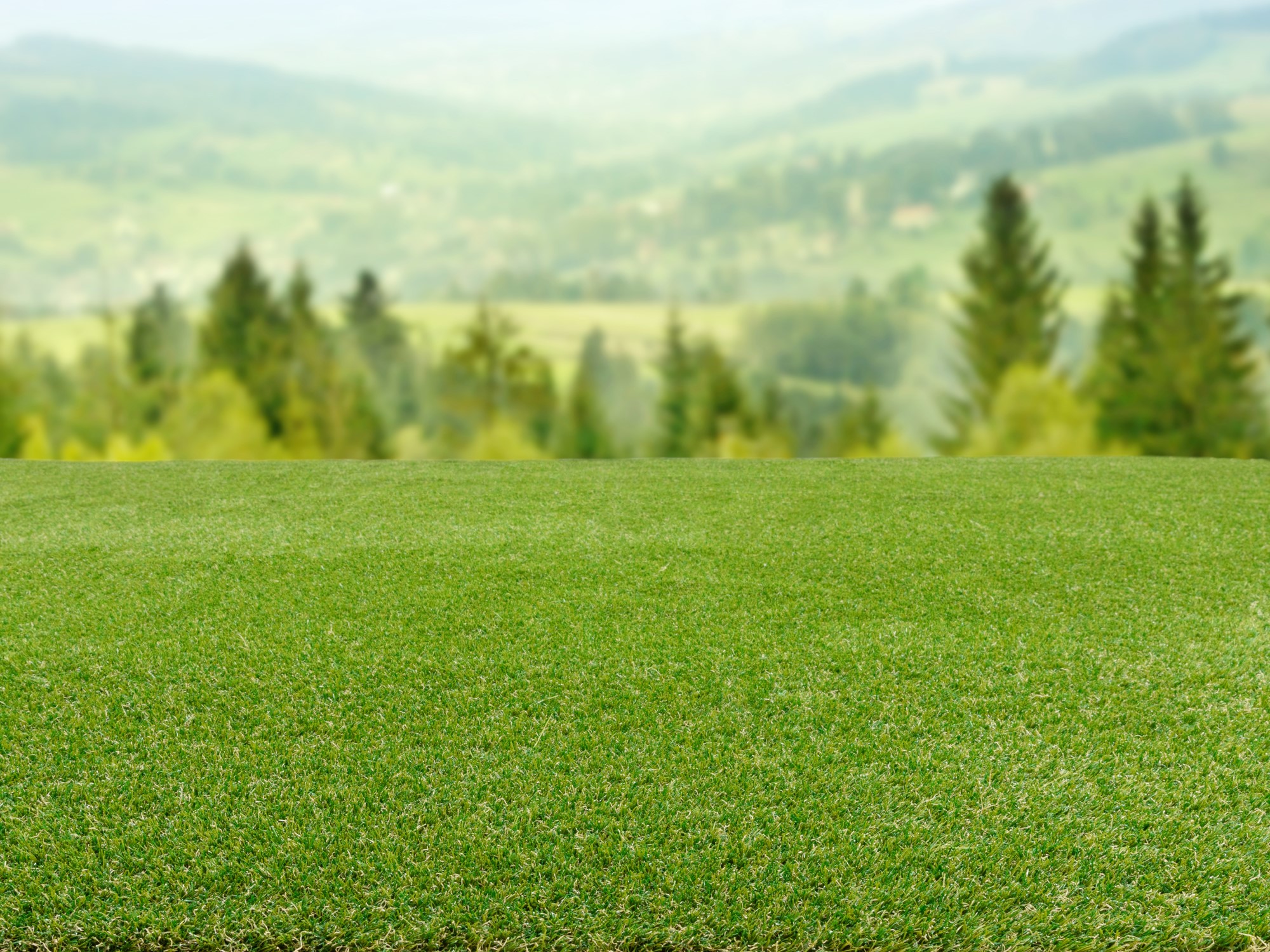 Kunstrasen Teppich Florida