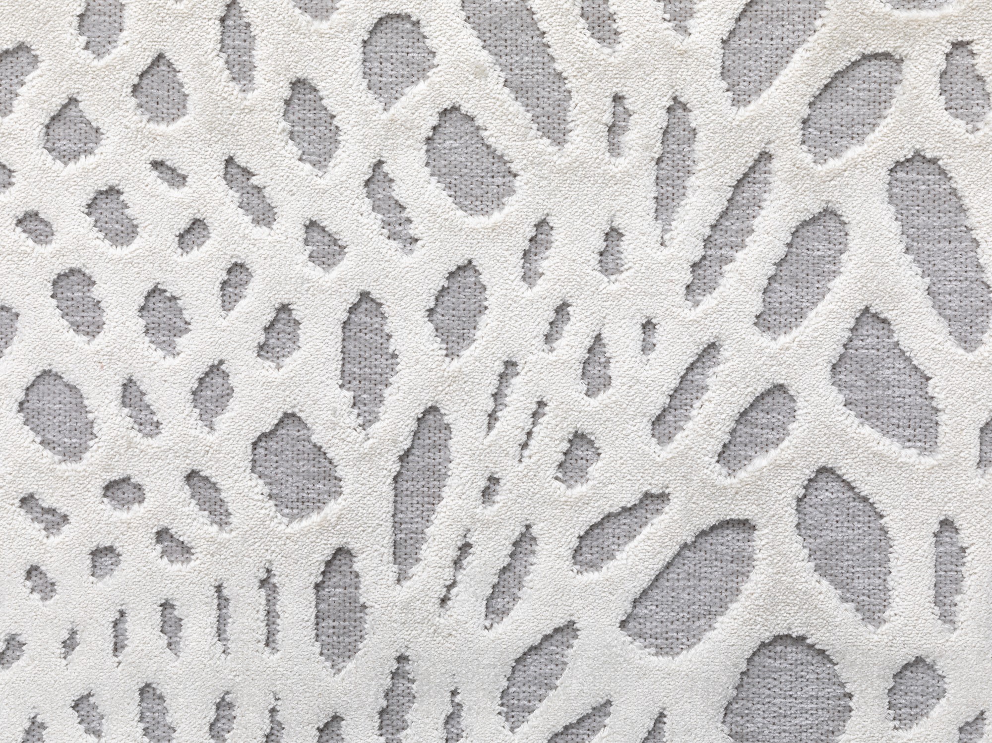 Kurzflor Teppich Imperia - Elefant 160x230