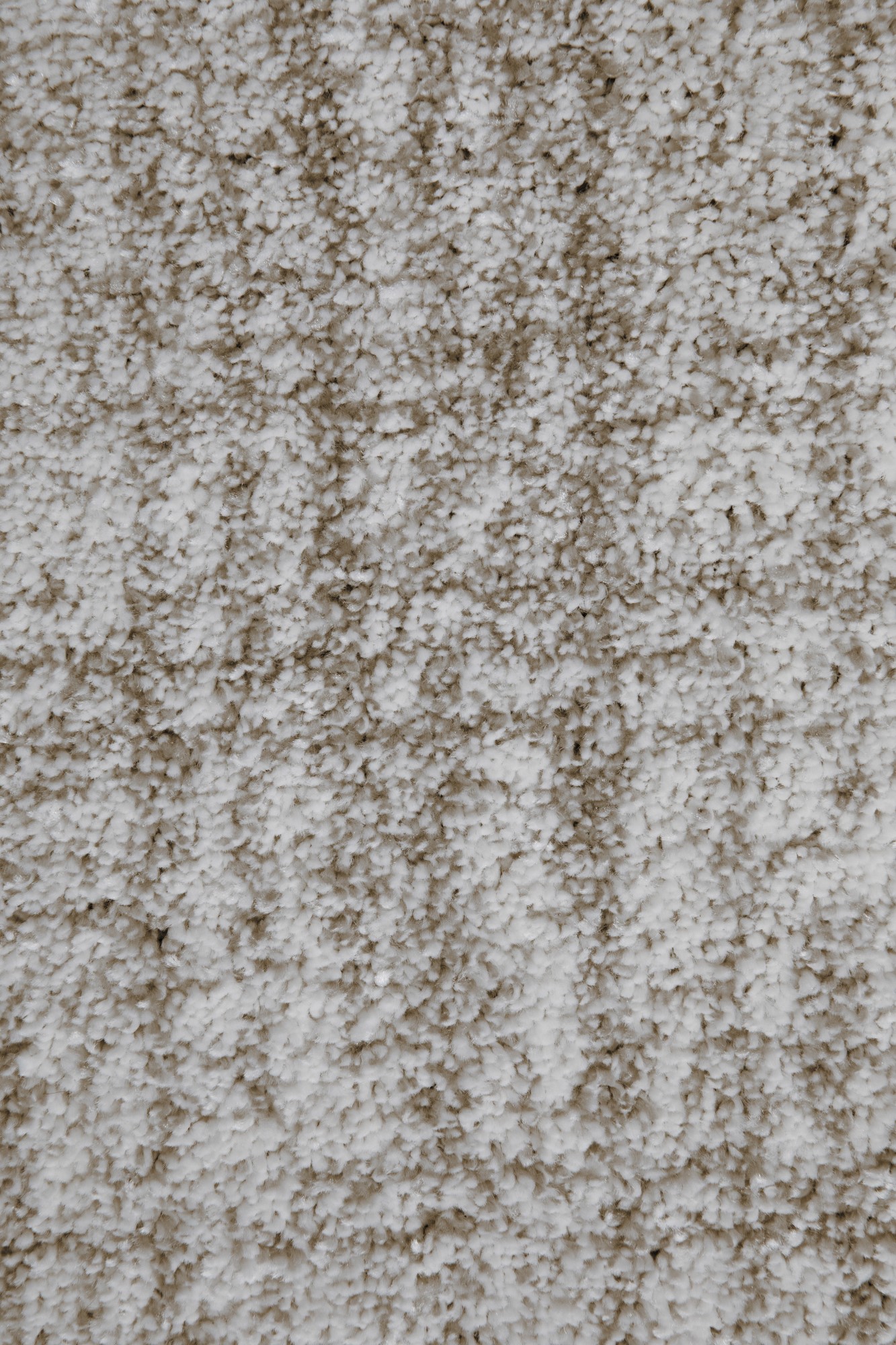 Kurzflor Teppich Nancy