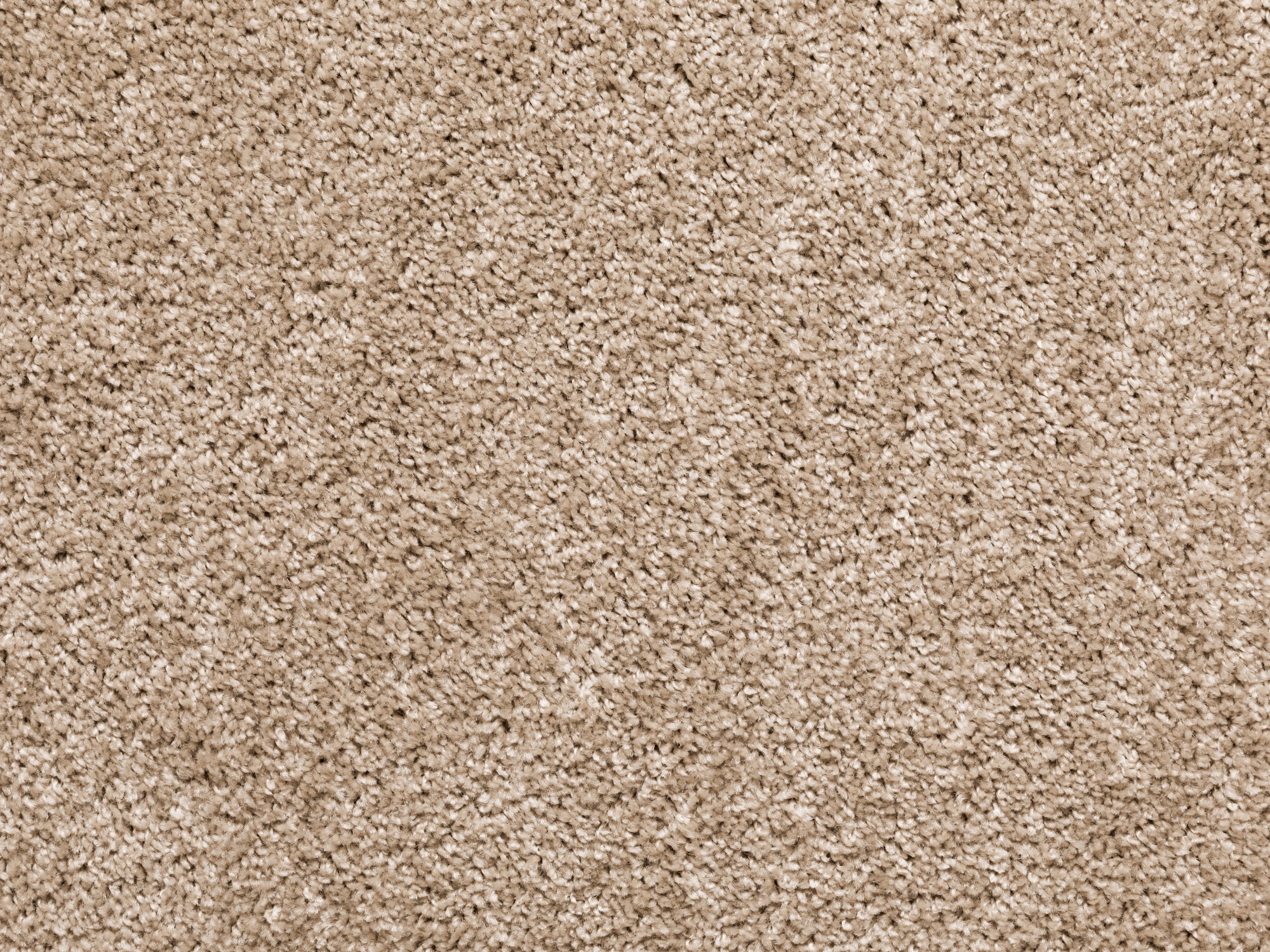 Kurzflor Teppich Cambridge -Rund