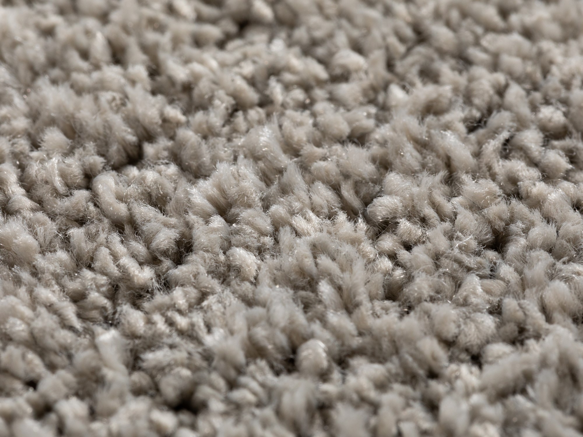 Teppichboden Capri Teppichboden Capri