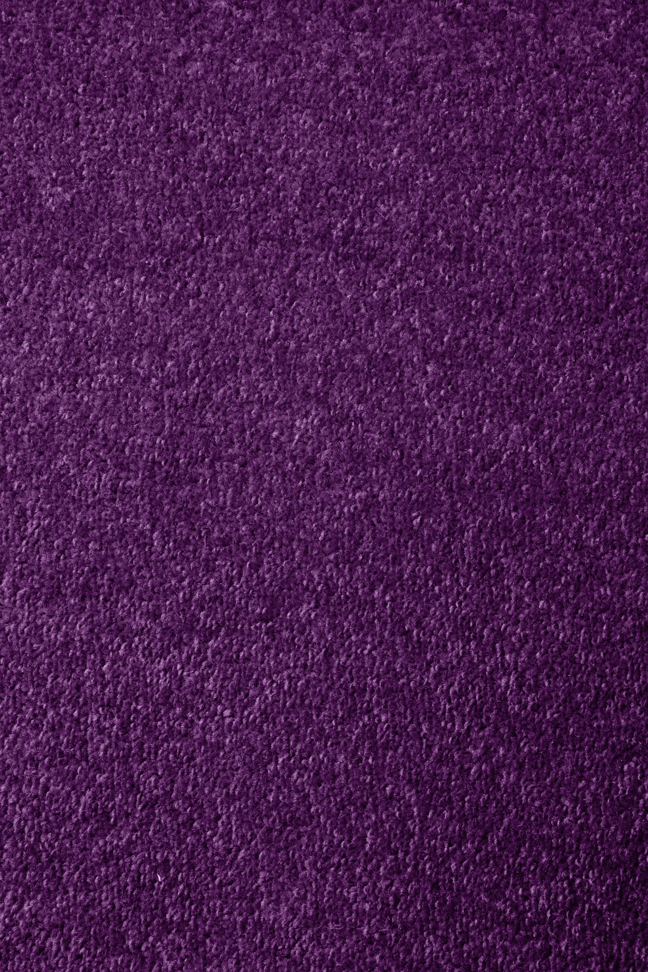 Kurzflor Teppich Cambridge Young