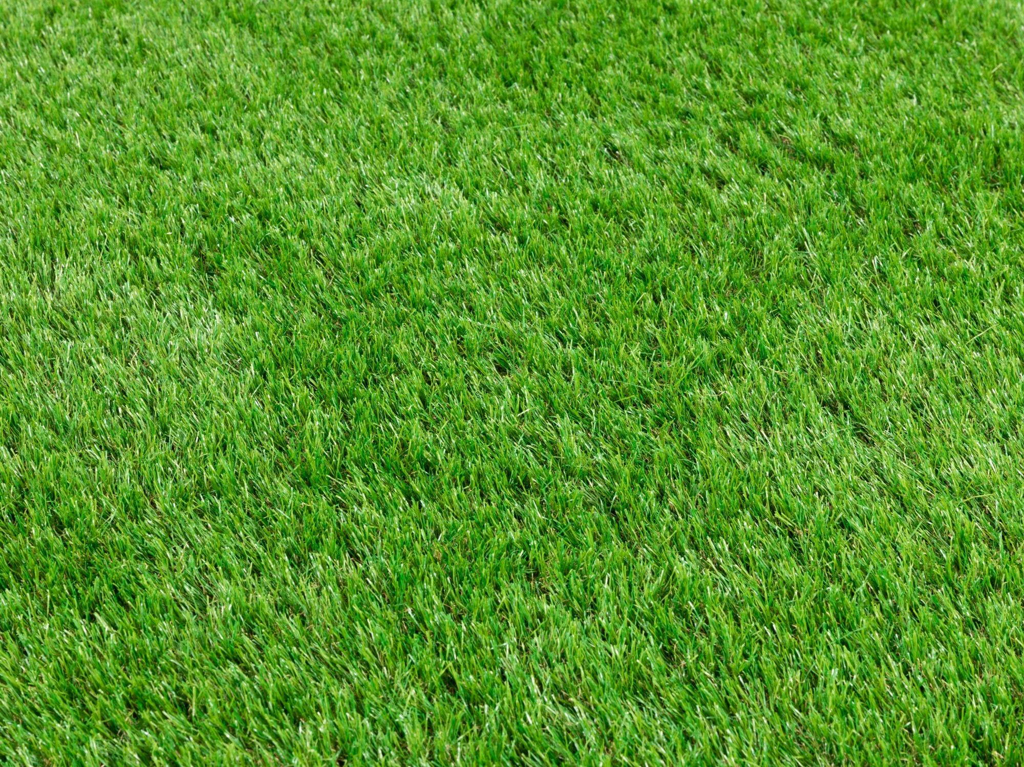 Kunstrasen Teppich Dublin