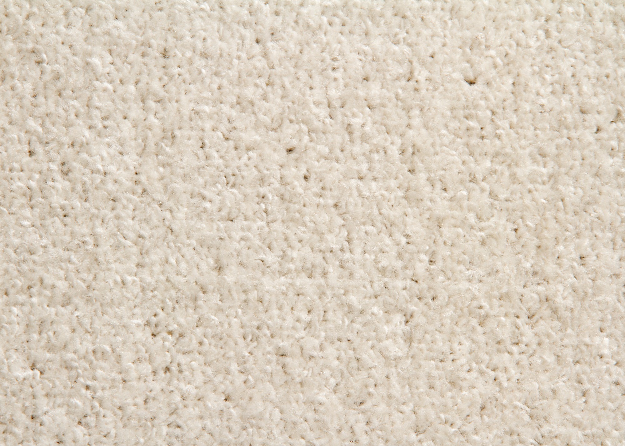 Kurzflor Teppich Cambridge Young