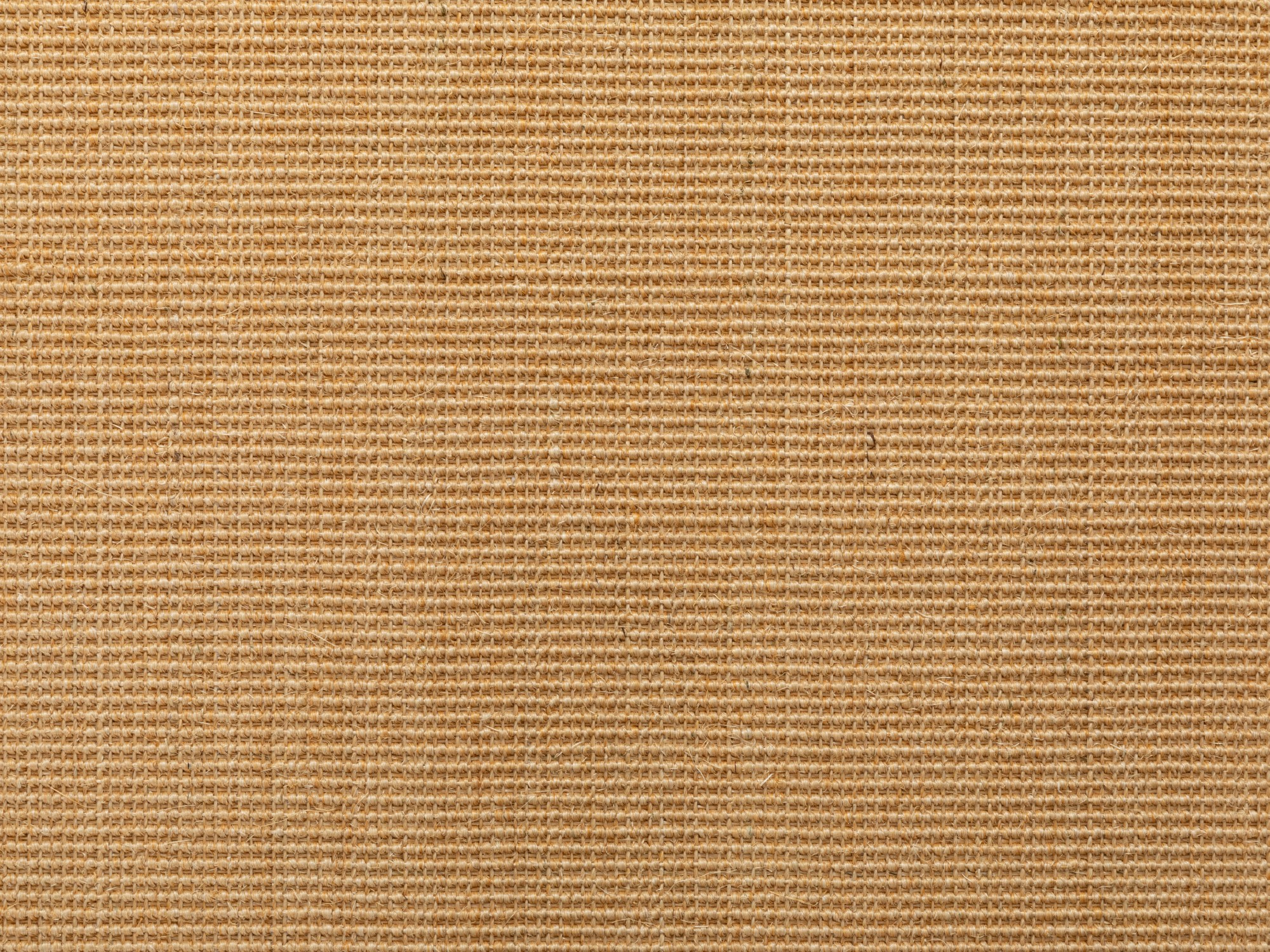 Teppichboden Sisal Salinas