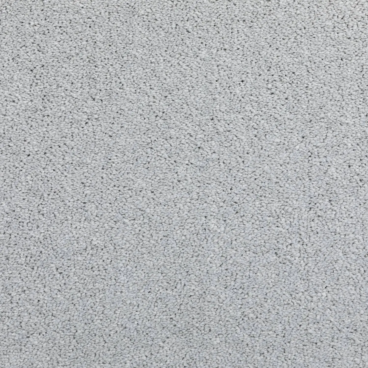 Kurzflor Teppich Pisa