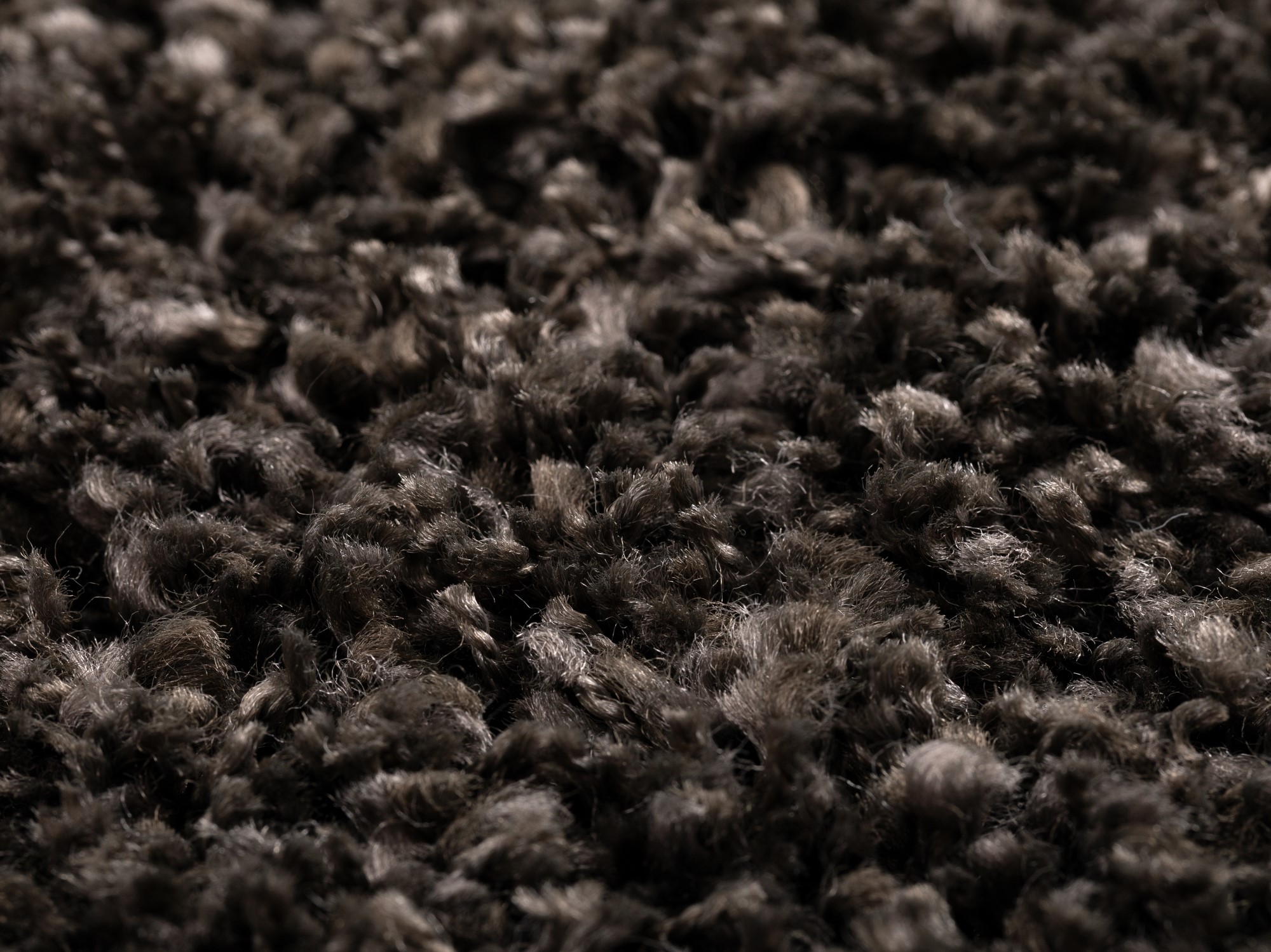 Hochflor Teppich Twilight