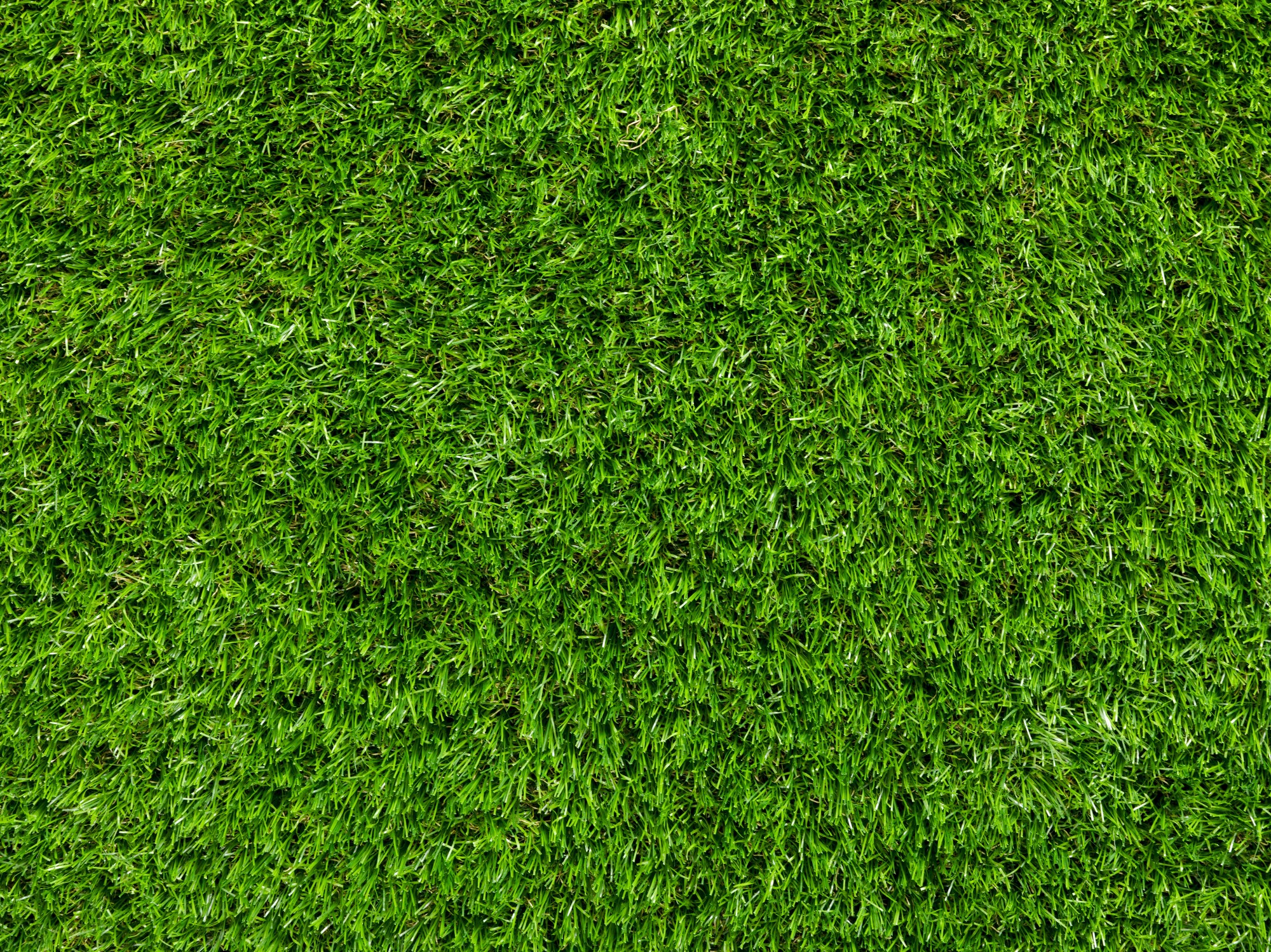 Kunstrasen Teppich Java