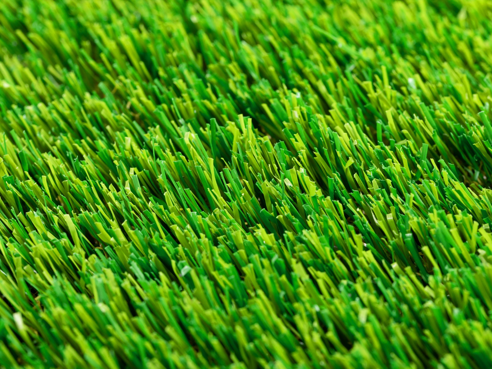 Kunstrasen Teppich New Zealand