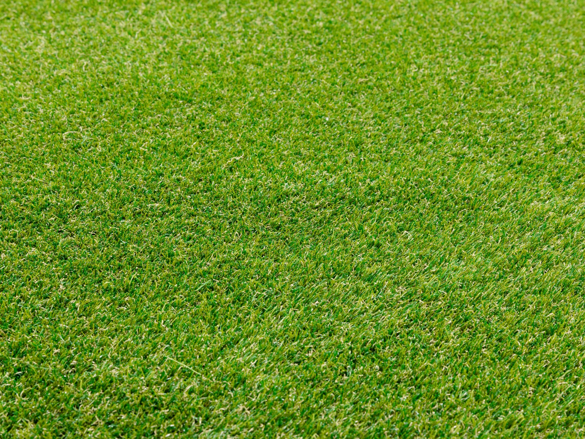 Kunstrasen Teppich Florida