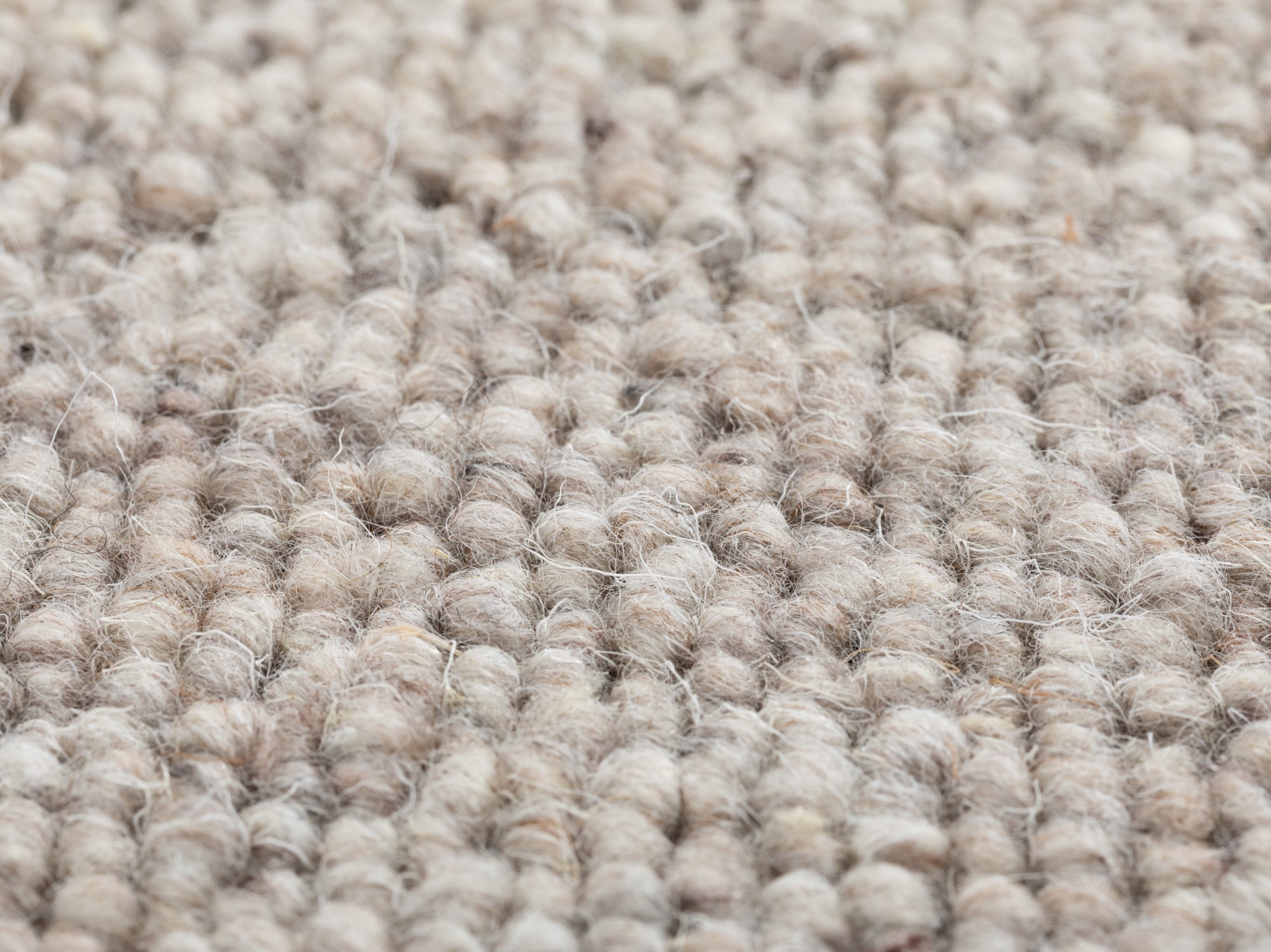 Teppichboden Sydney Teppichboden Sydney