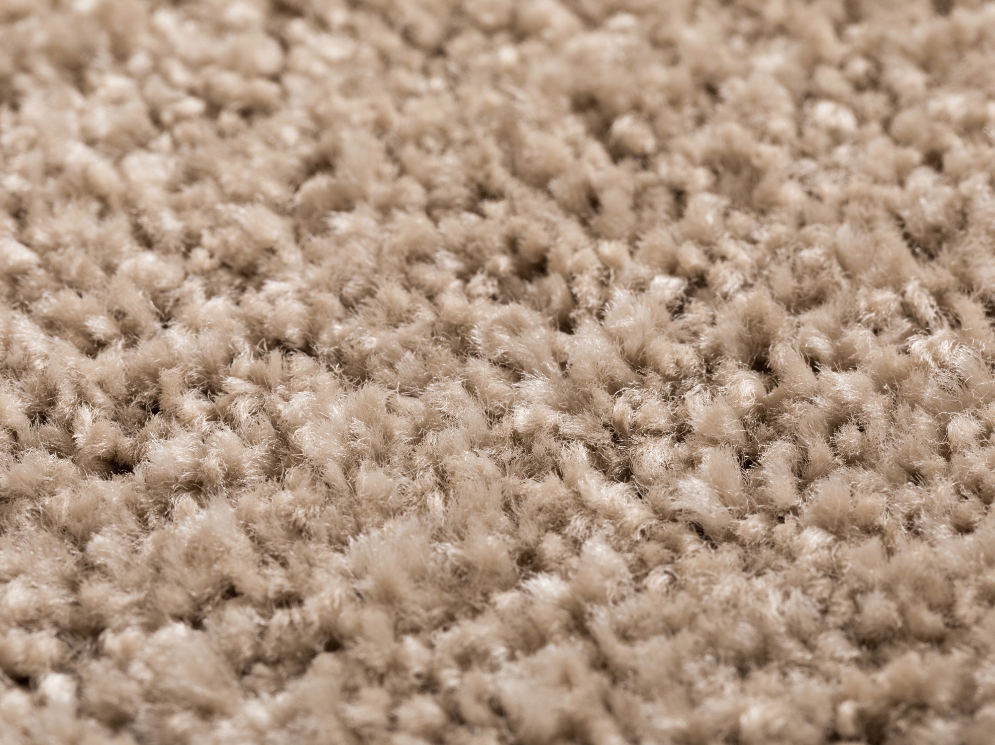 Kurzflor Teppich Cambridge -Rund