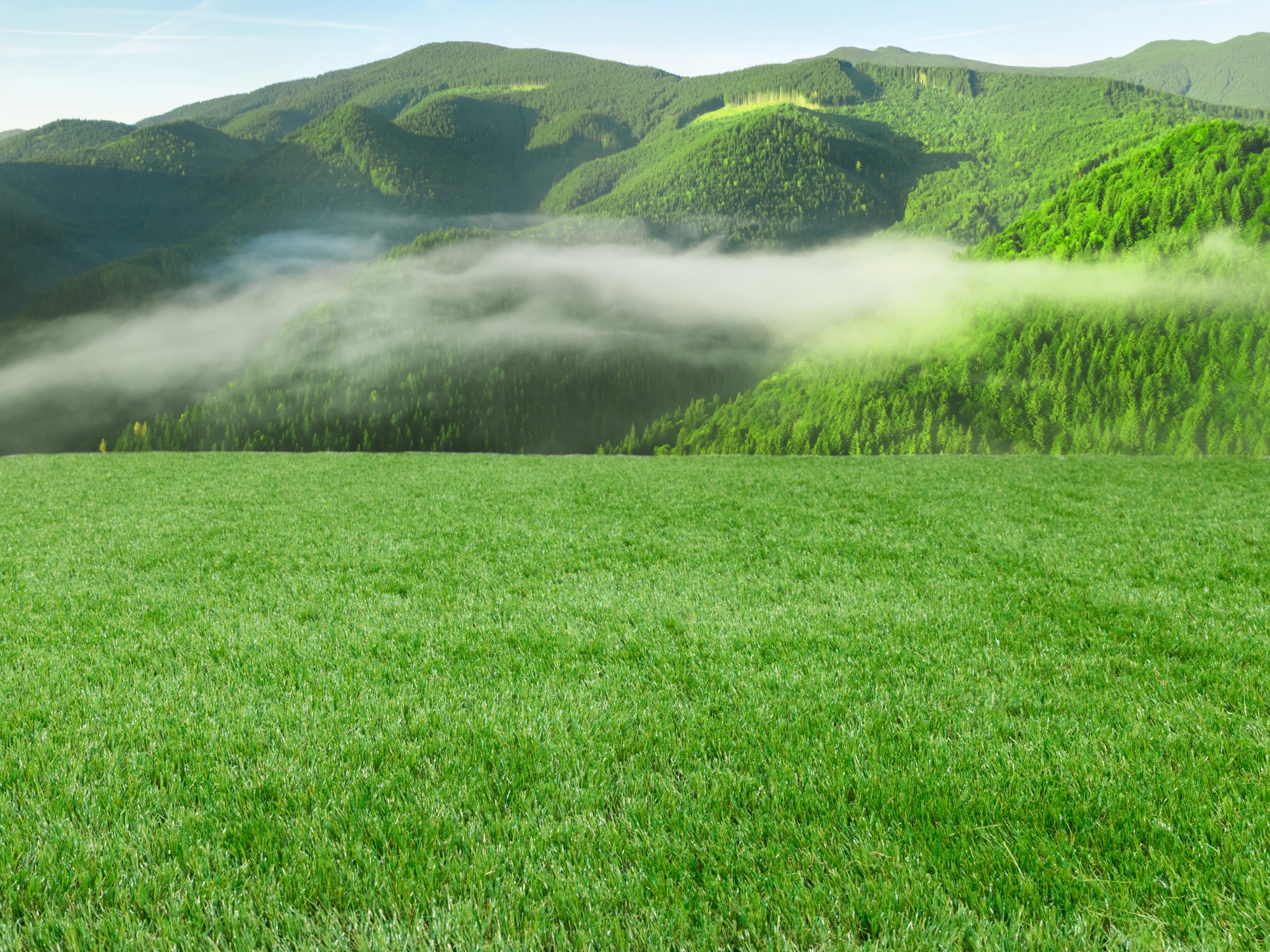 Kunstrasen Teppich Dublin