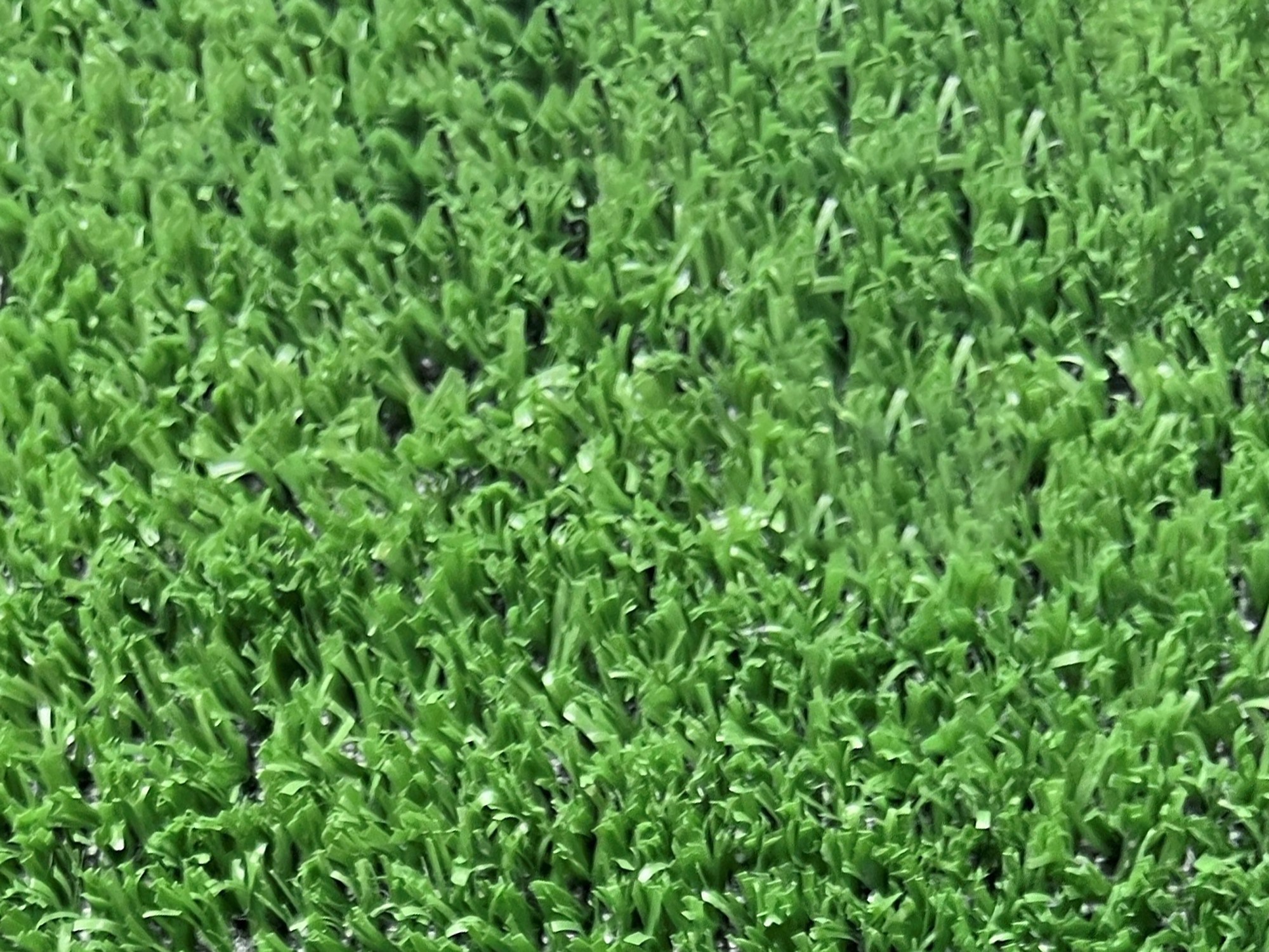 Kunstrasen Teppich Kerry