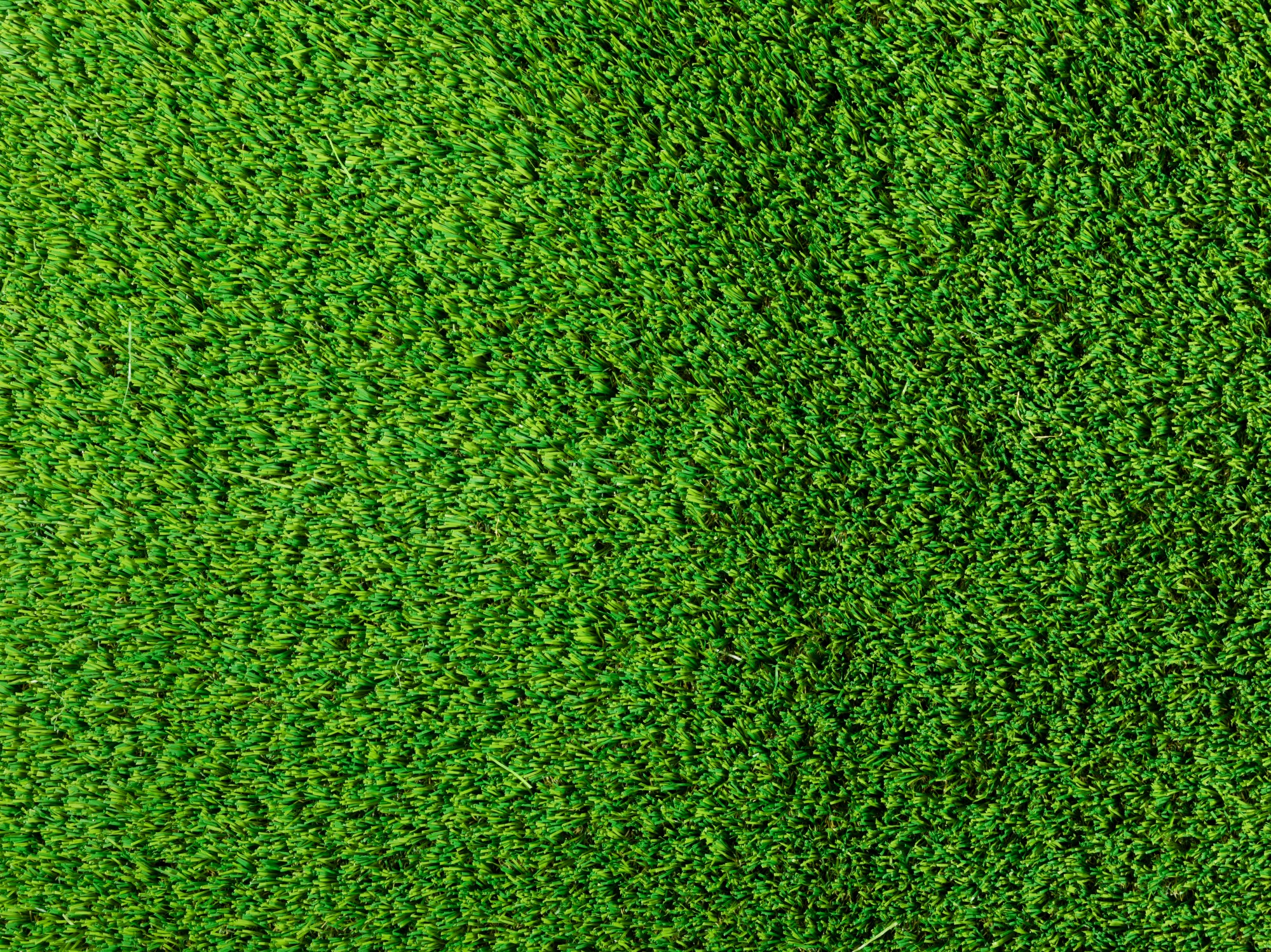 Kunstrasen Teppich New Zealand