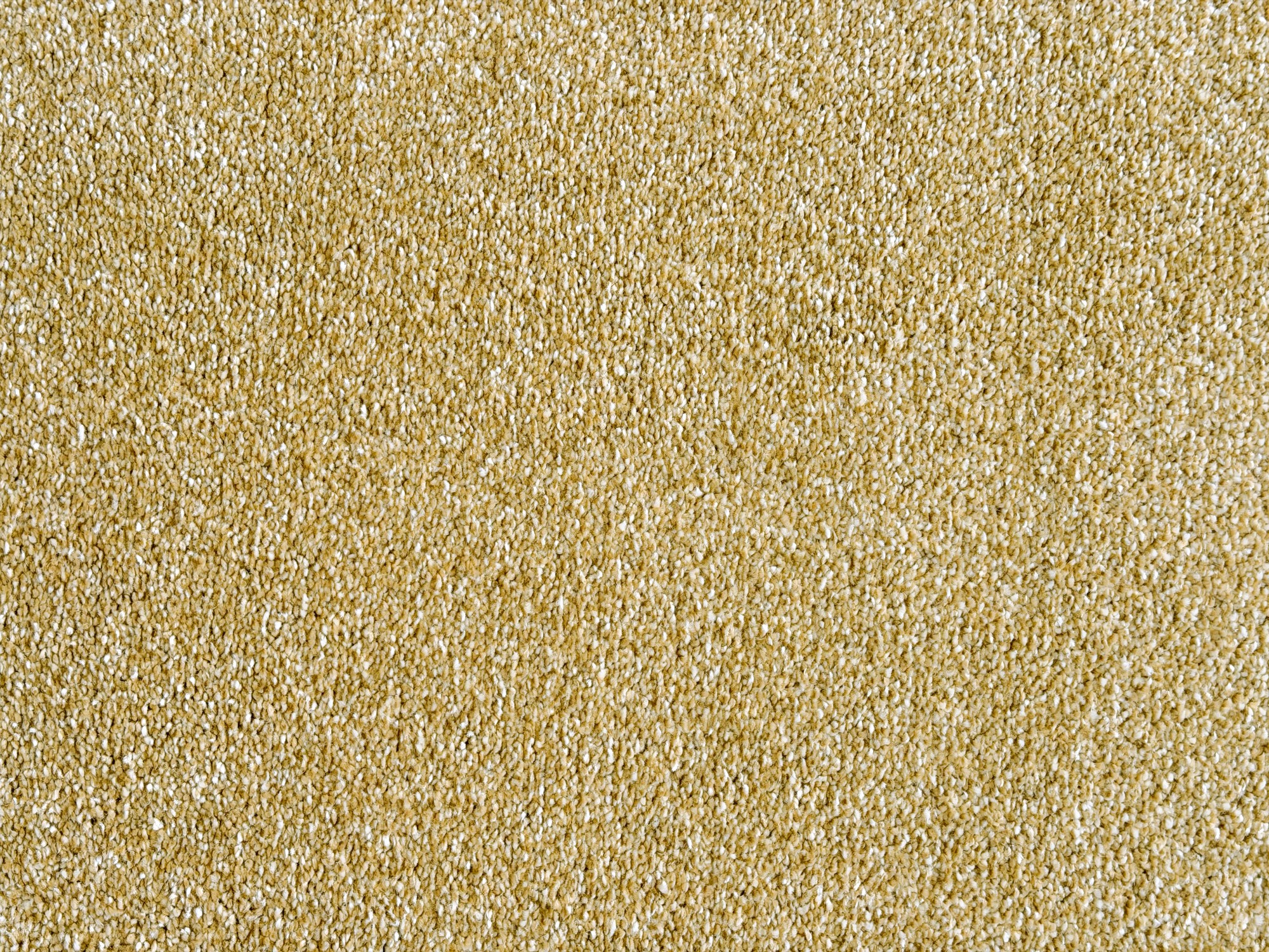 Kurzflor Teppich Levanto - Rund