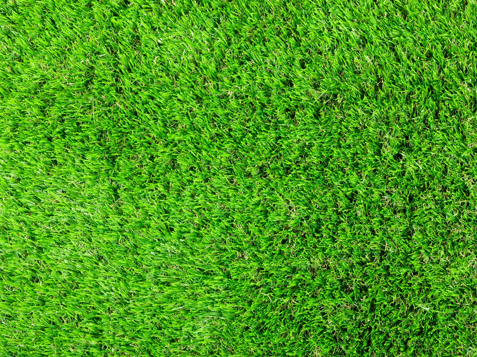 Kunstrasen Teppich Ireland