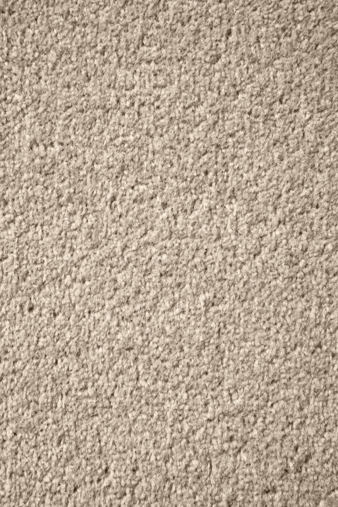 Kurzflor Teppich Cambridge Young - Rund