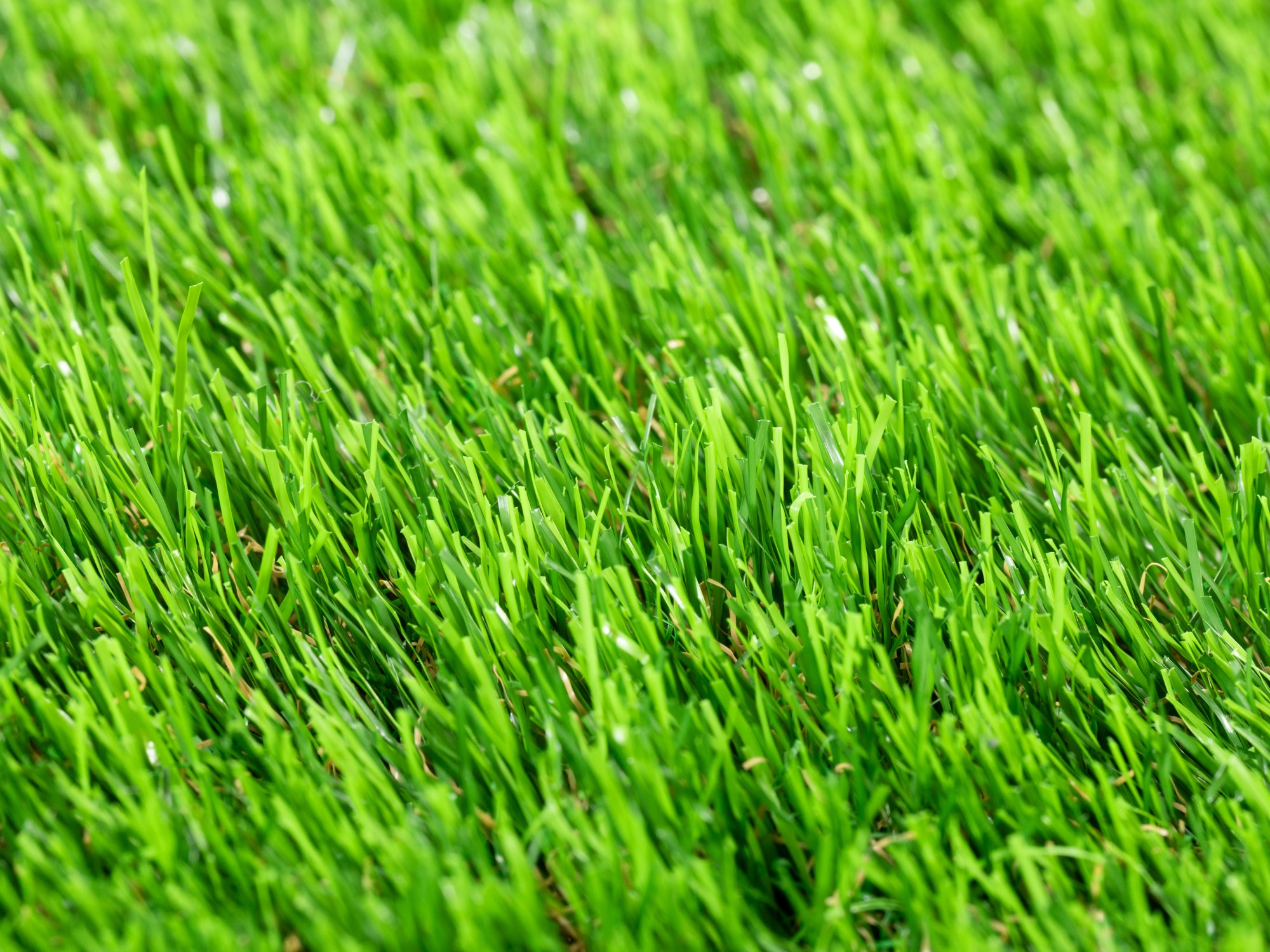 Kunstrasen Teppich Ireland