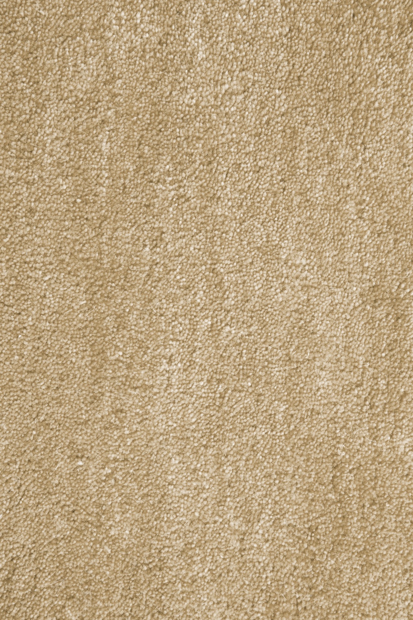 Gabbeh Teppich Sowana