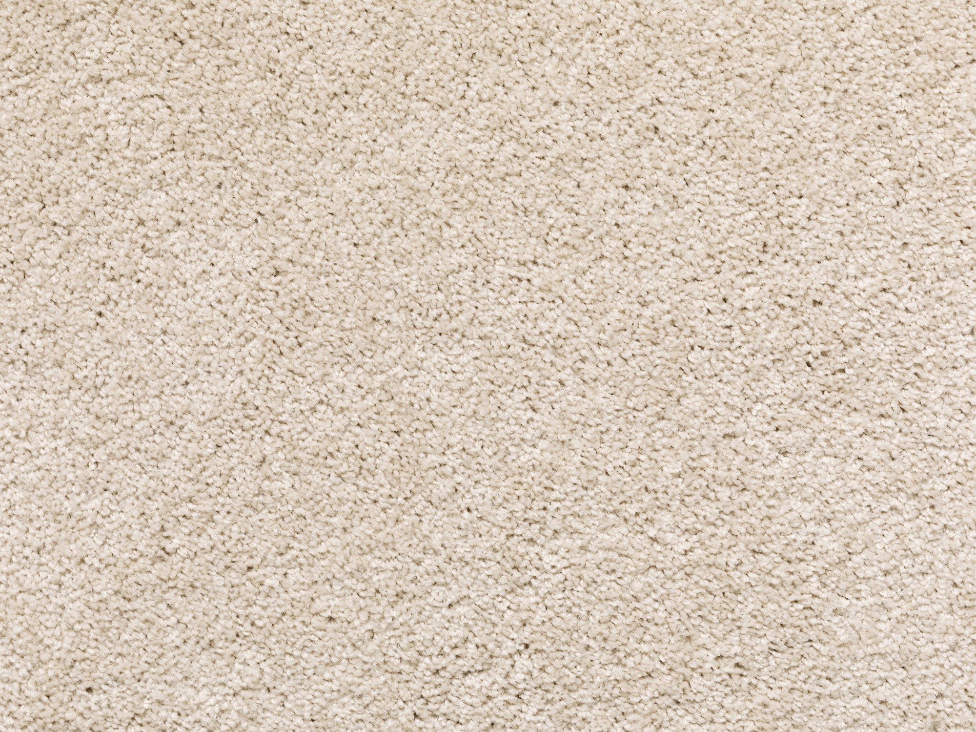 Kurzflor Teppich Cambridge -Rund