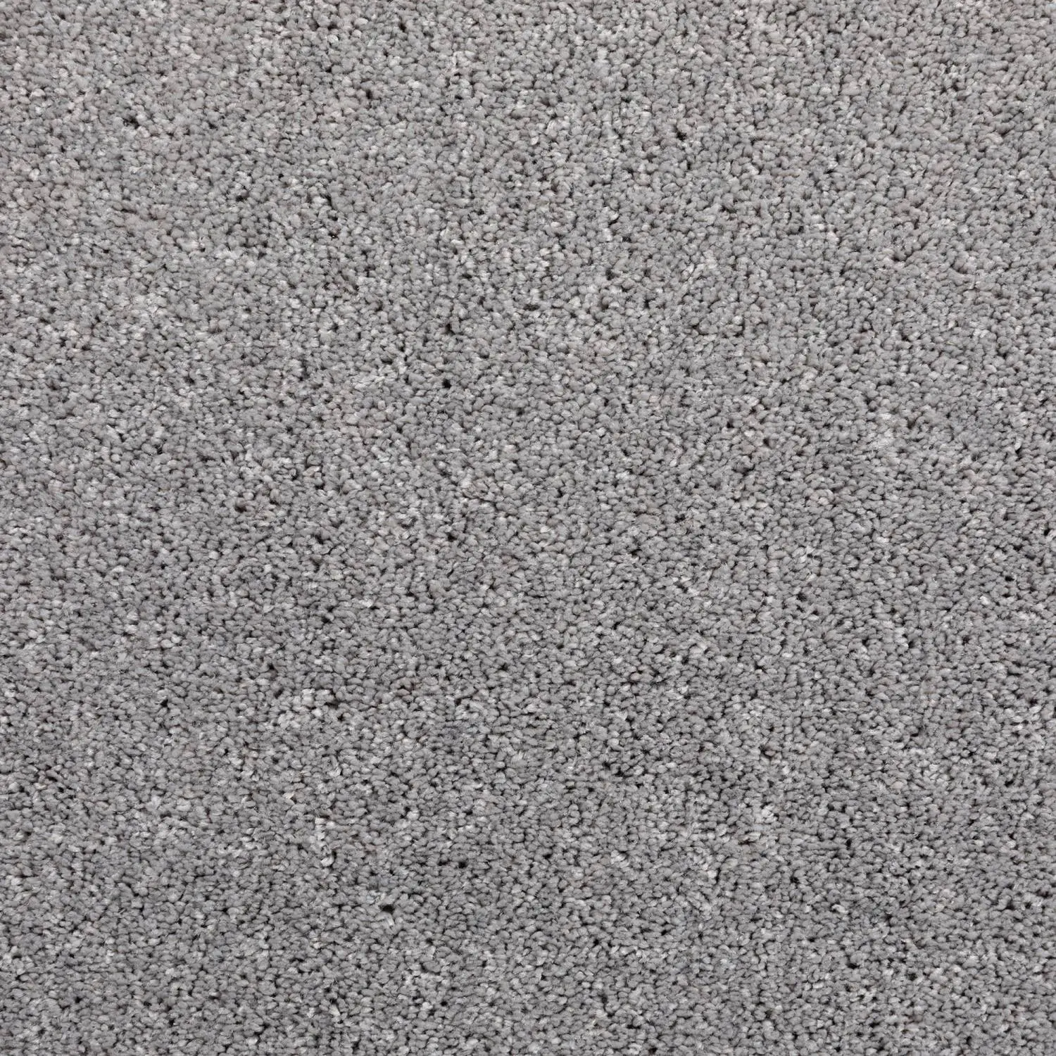 Kurzflor Teppich Pisa