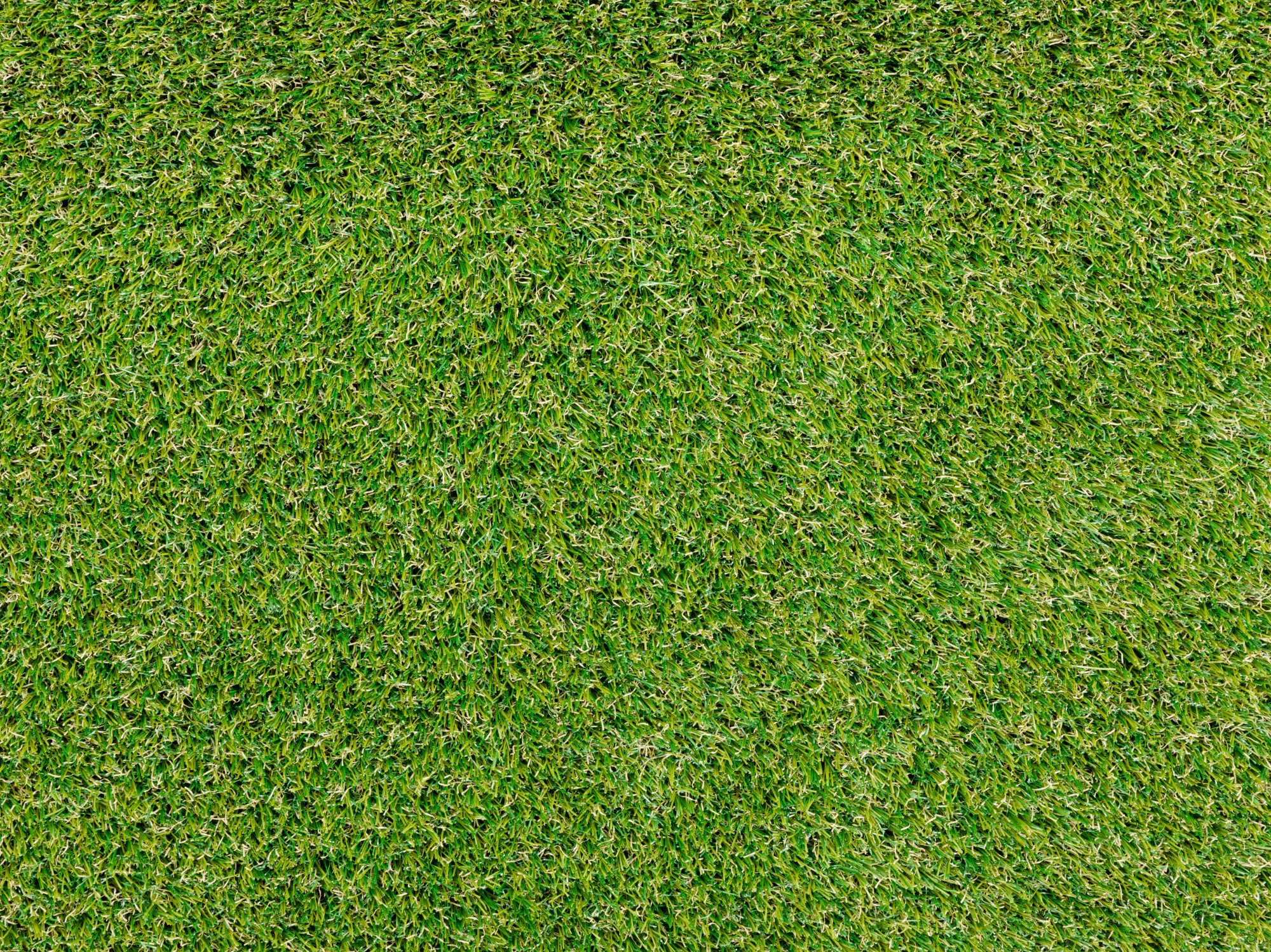 Kunstrasen Teppich Florida