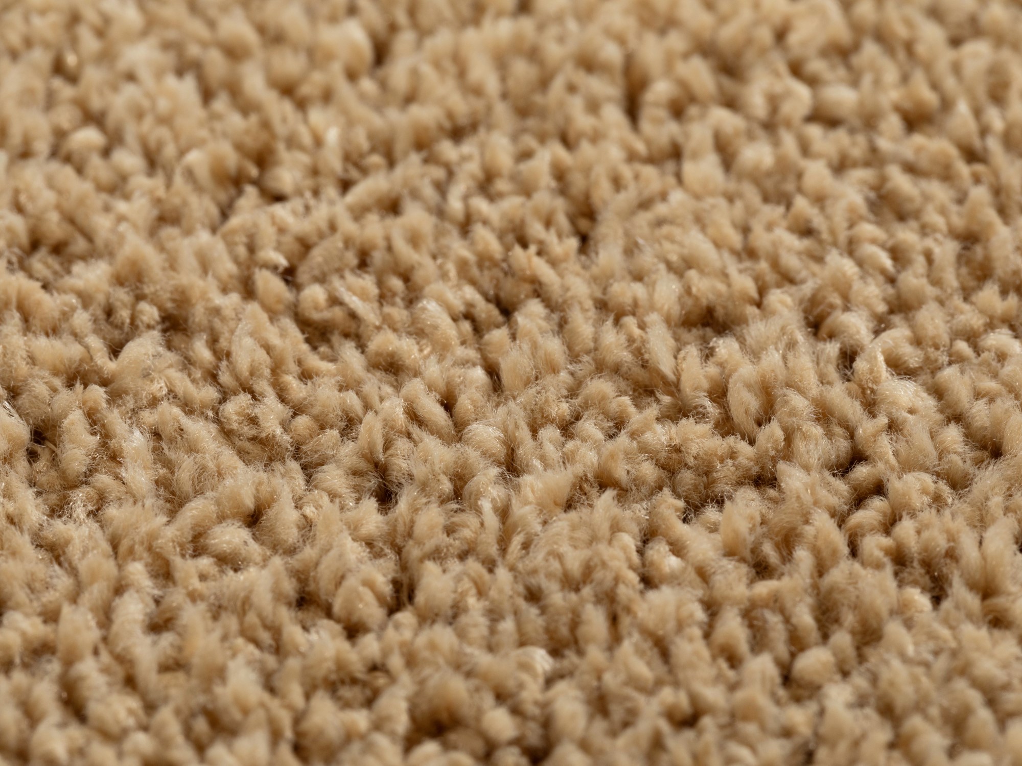 Teppichboden Capri Teppichboden Capri