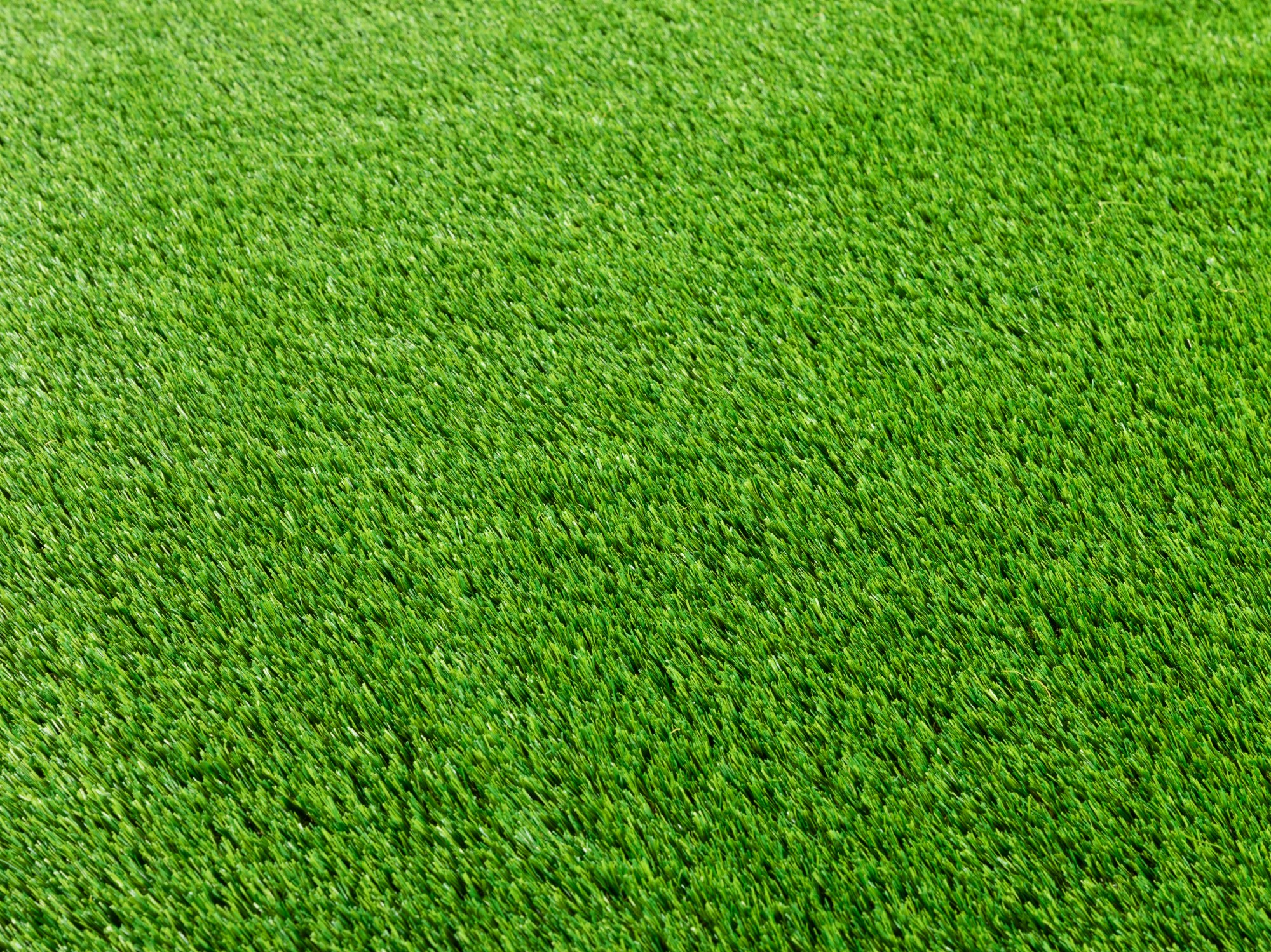 Kunstrasen Teppich New Zealand