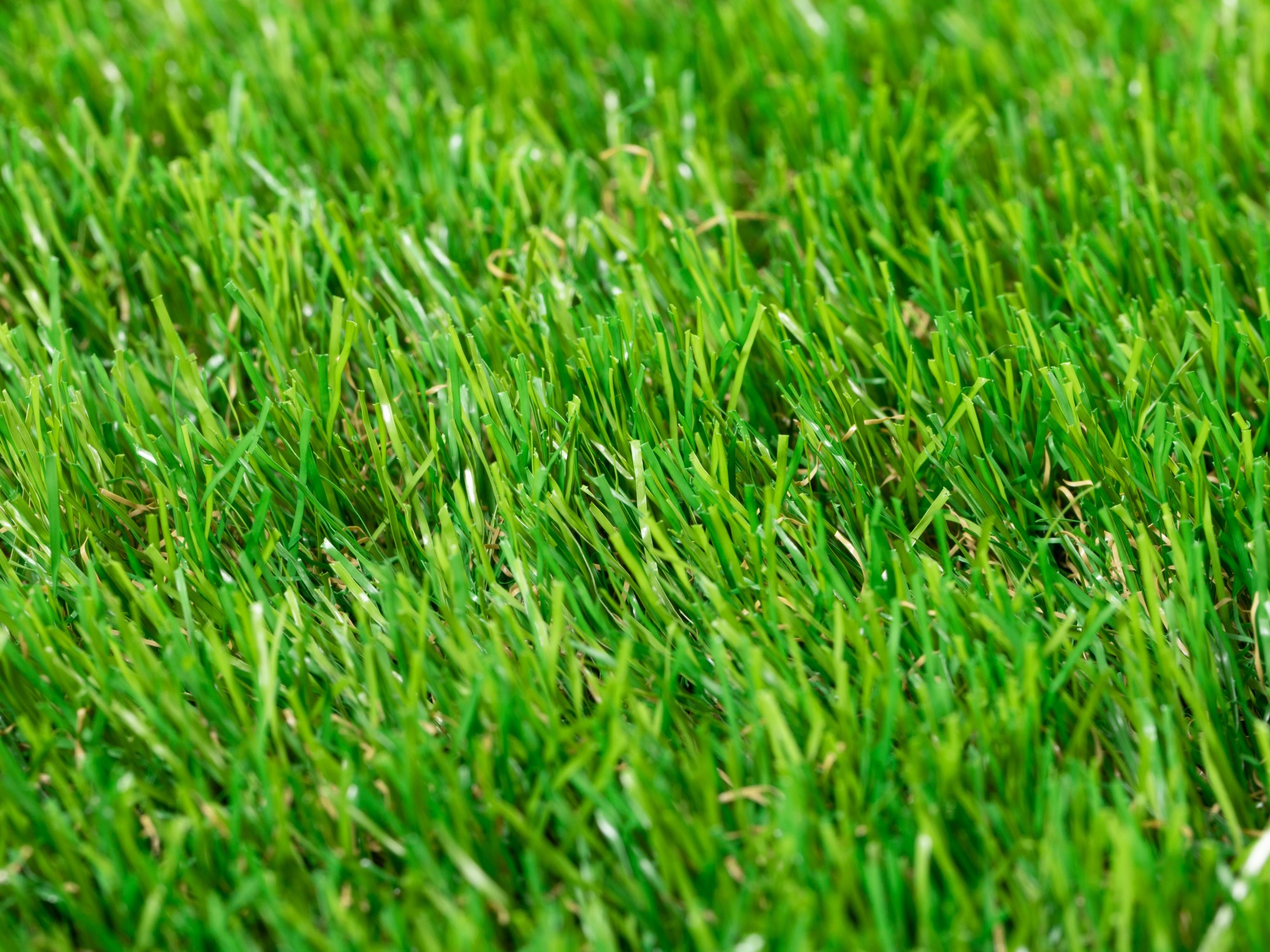 Kunstrasen Teppich Dublin