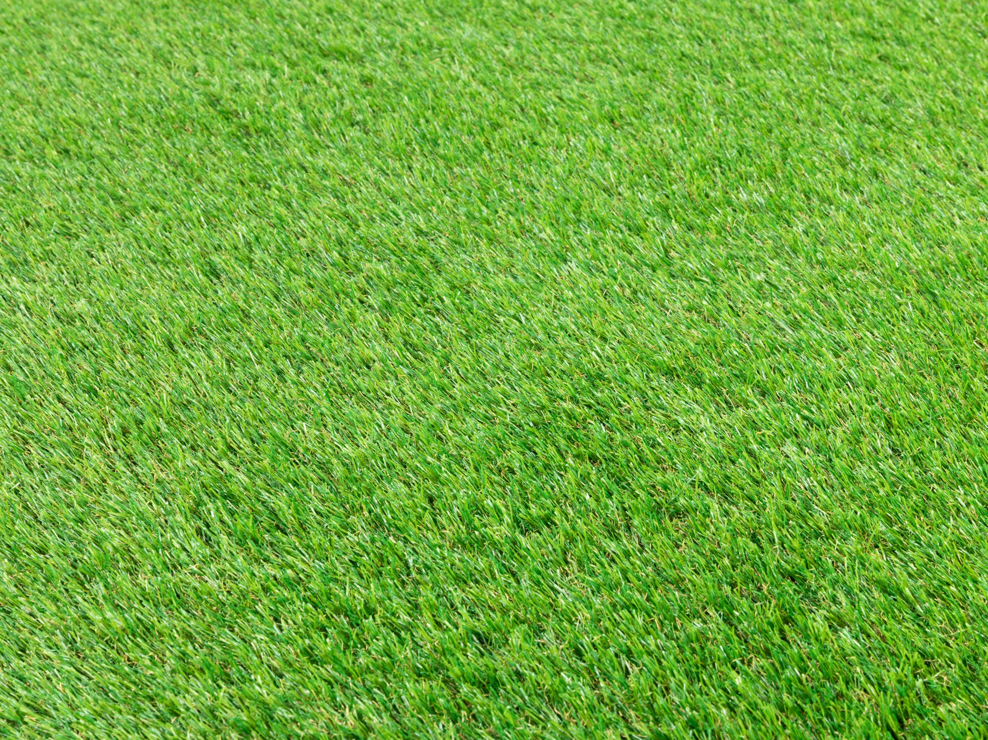 Kunstrasen Teppich Montana