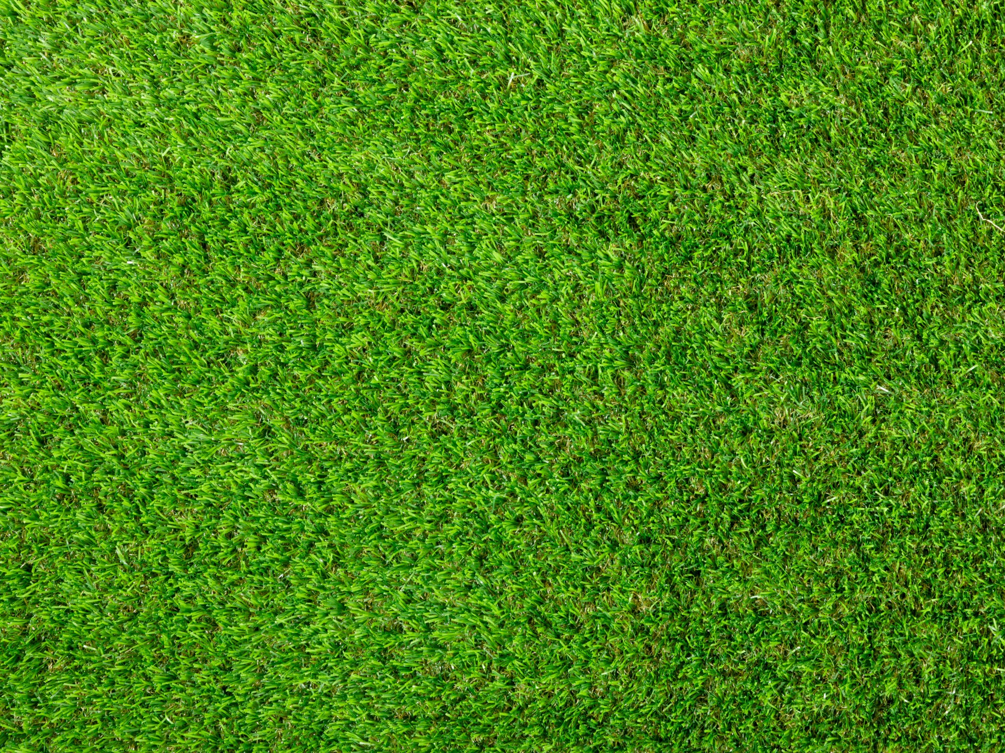 Kunstrasen Teppich Windsor