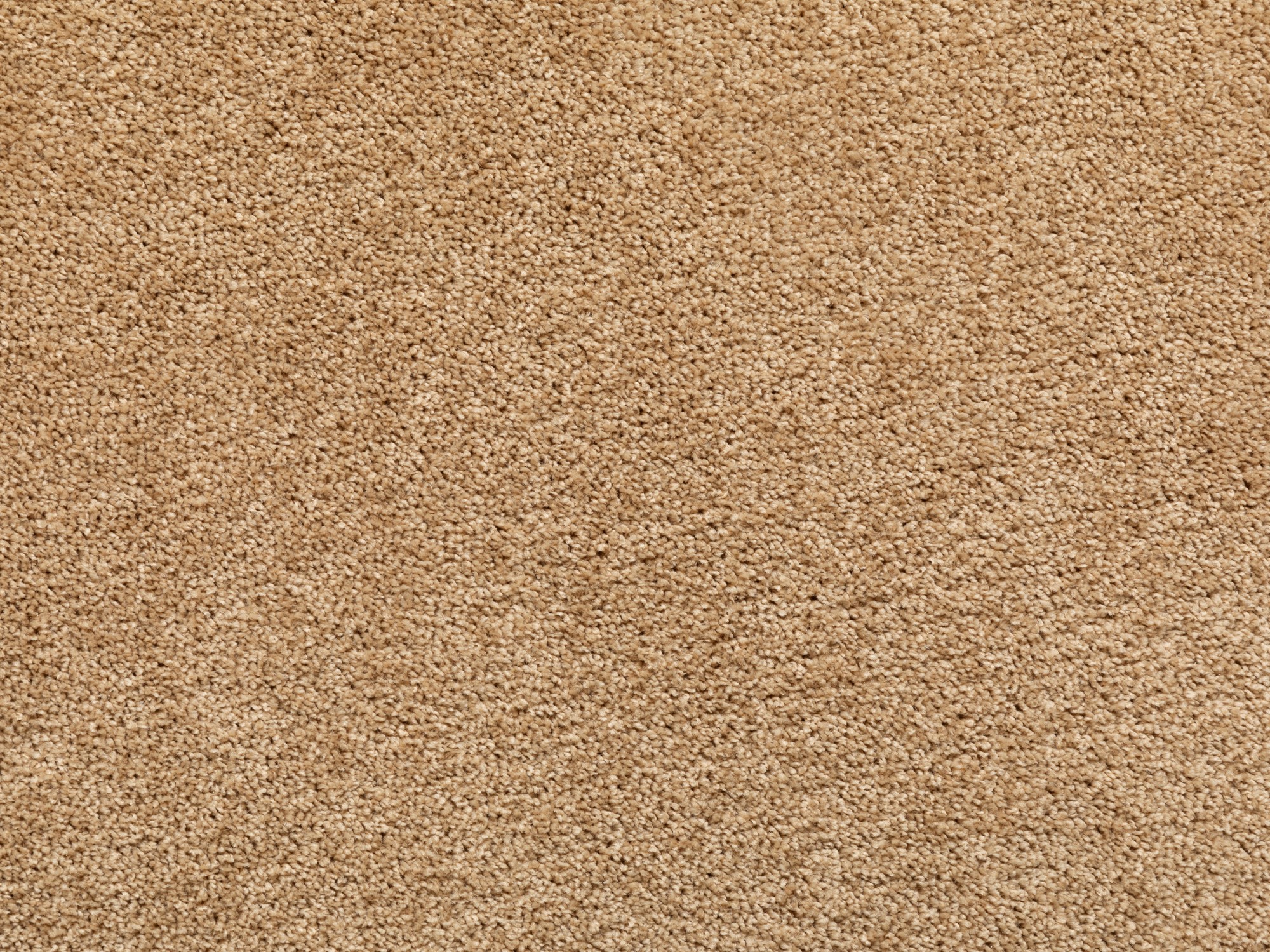 Teppichboden Capri Teppichboden Capri