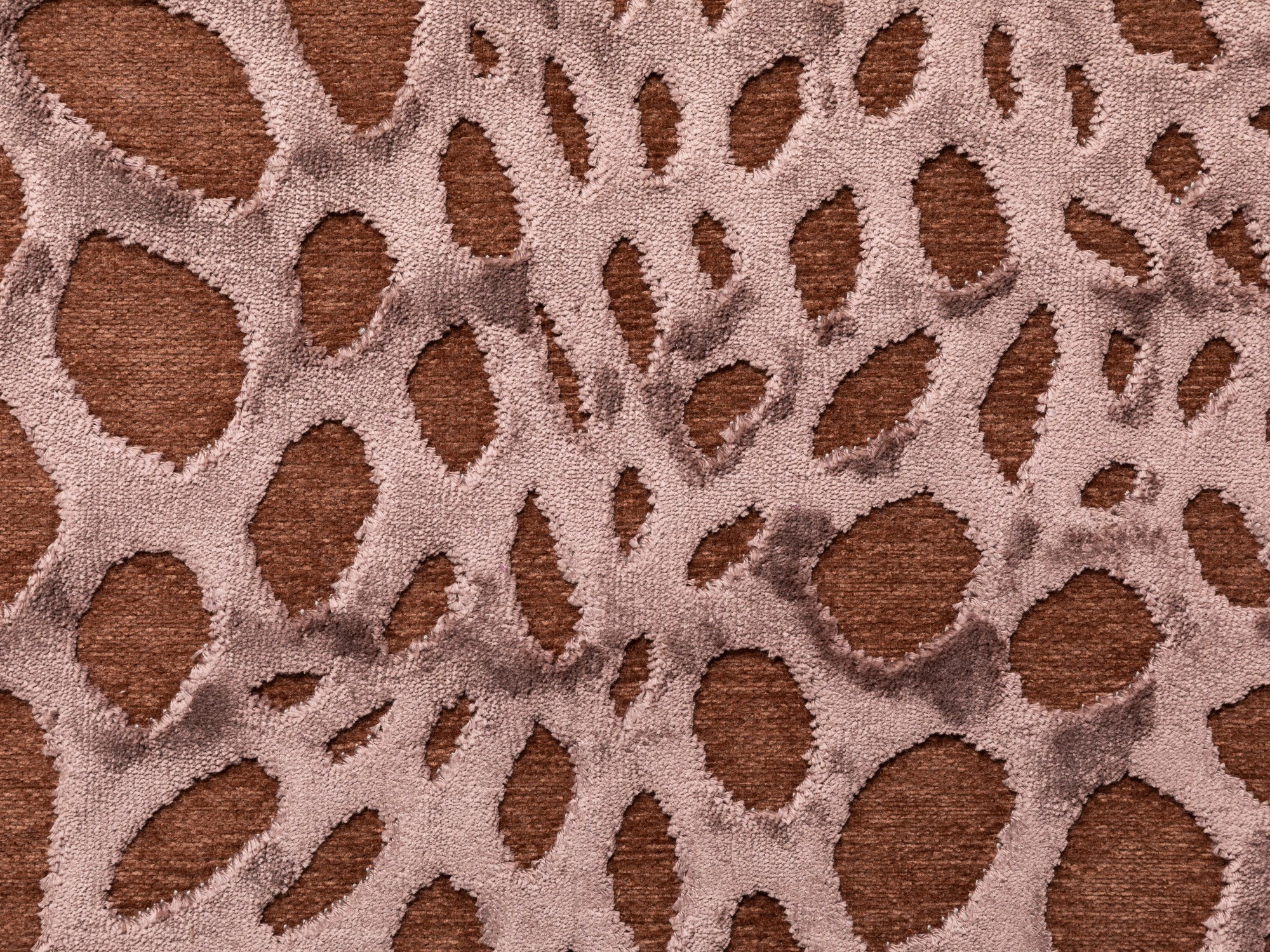 Kurzflor Teppich Imperia - Elefant 160x230