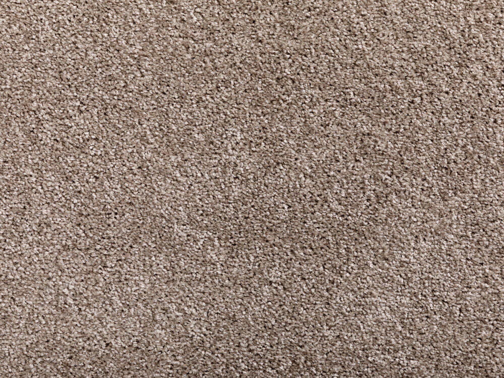 Kurzflor Teppich Cambridge -Rund