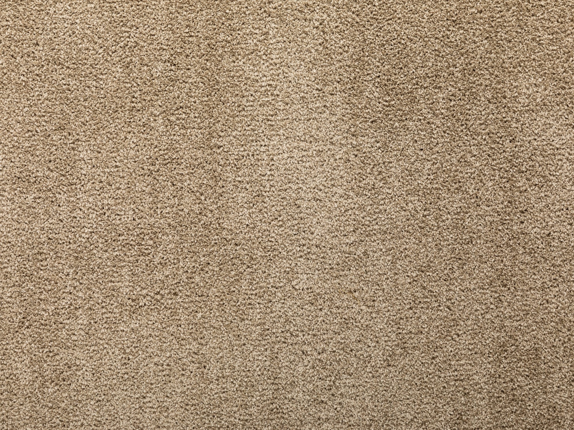 Kurzflor Teppich Barcelona
