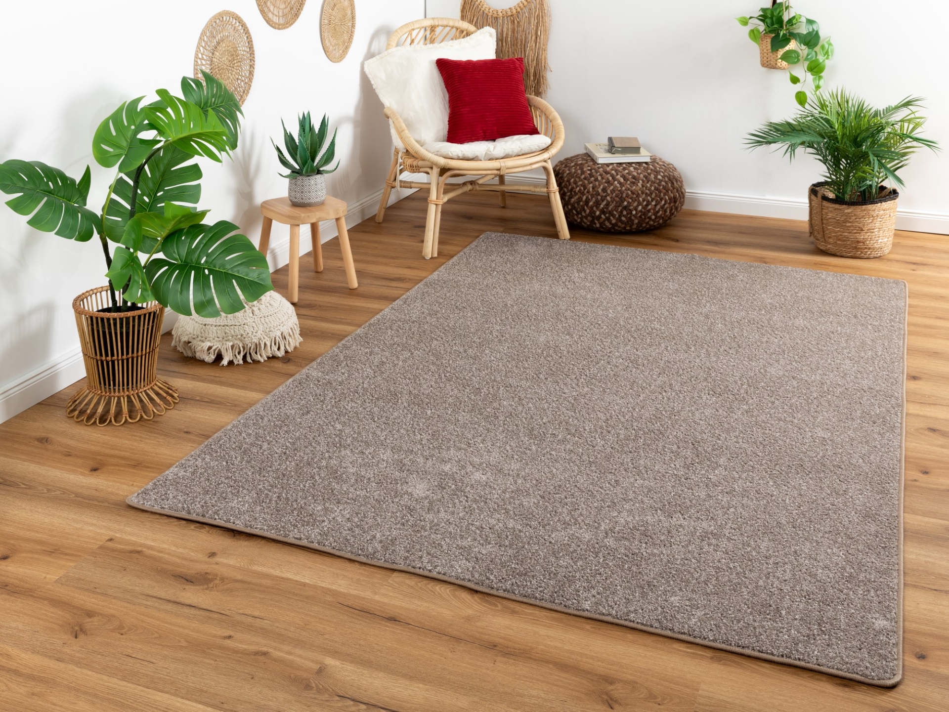 kurzflor-teppich-cambridge-taupe-interieur_1920x1920.jpg